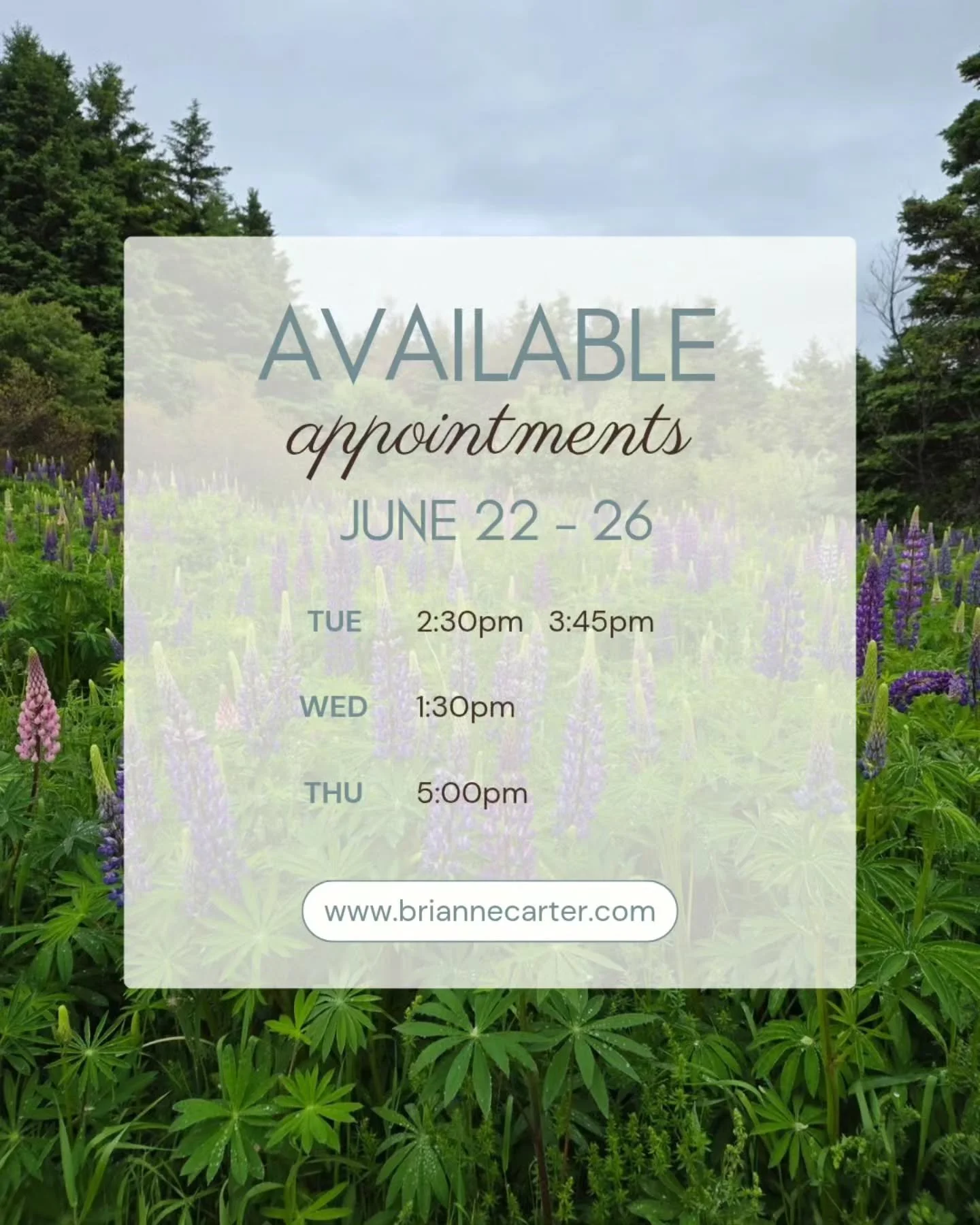 The energy of the Summer Solstice doesn't disappear when the weekend ends 🌞 

In many ways, the days following the solstice are the perfect time to slow down and integrate everything that surfaced for you - the insights, intentions, emotions, and sh