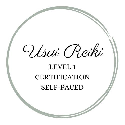 level 1 self-paced.png