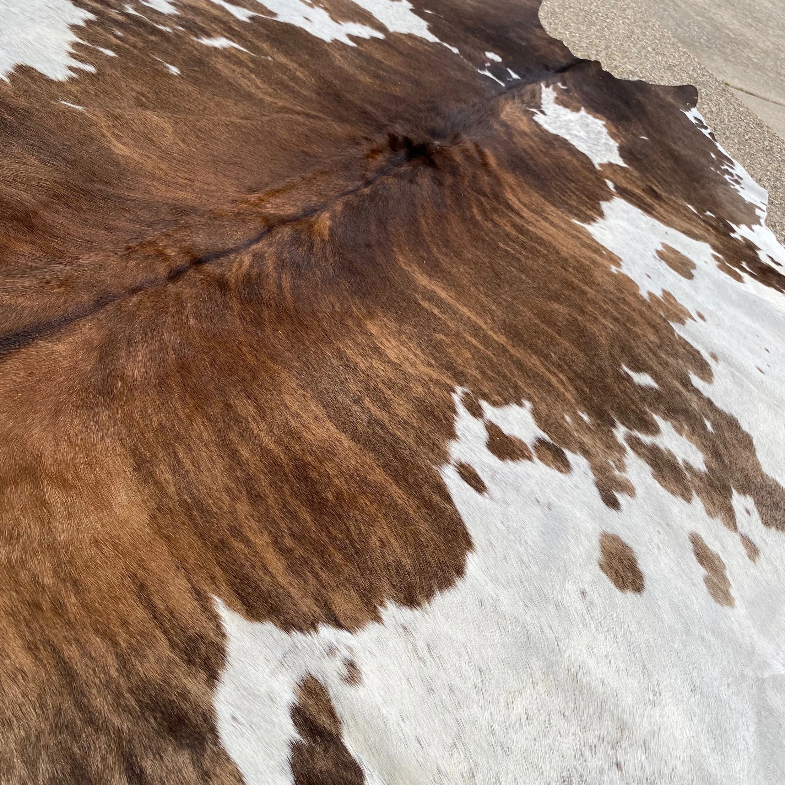 BF9FC492-A739-4187-9FB5-F105A626356B