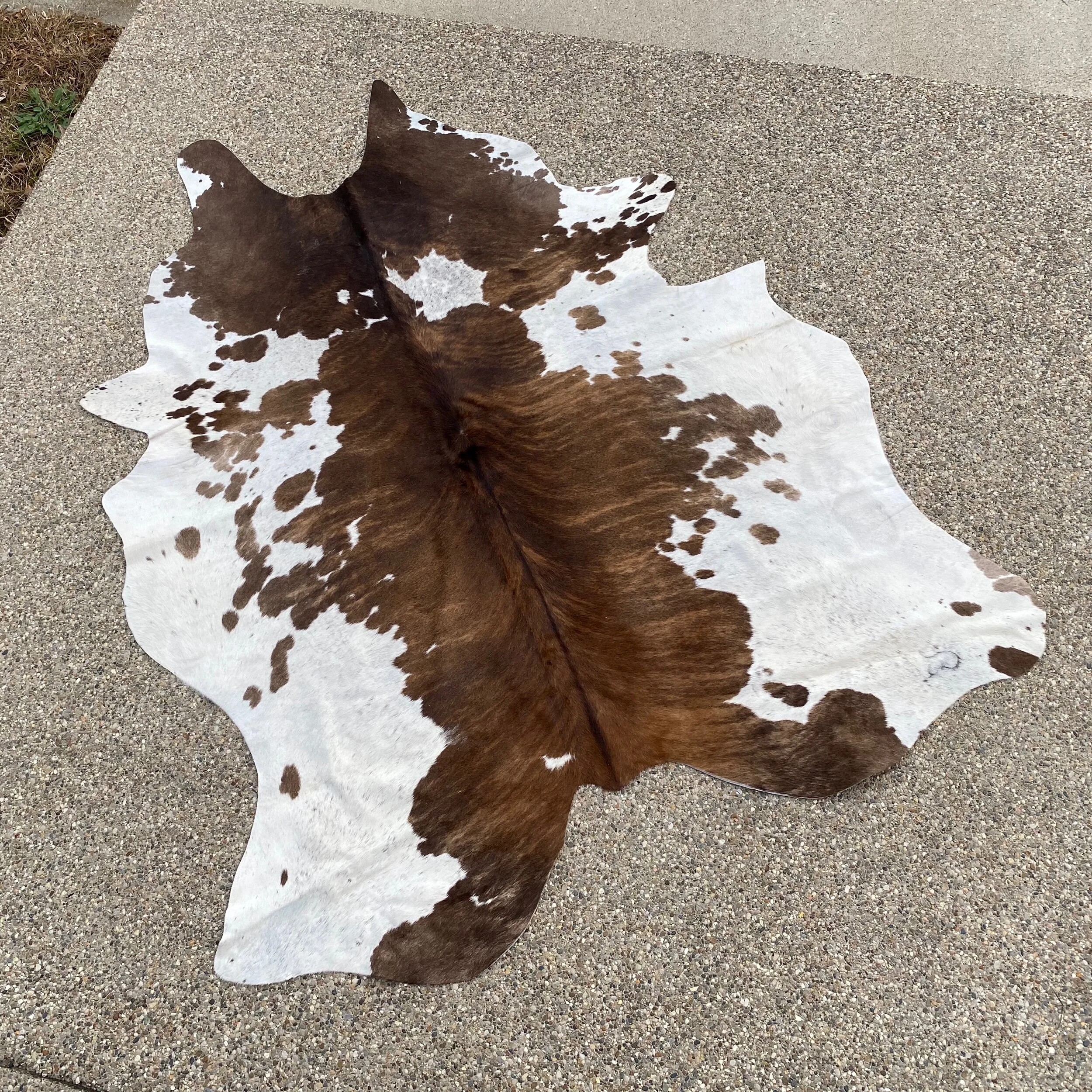 0FF5A3F3-3993-4447-976A-248E0A3D64D4