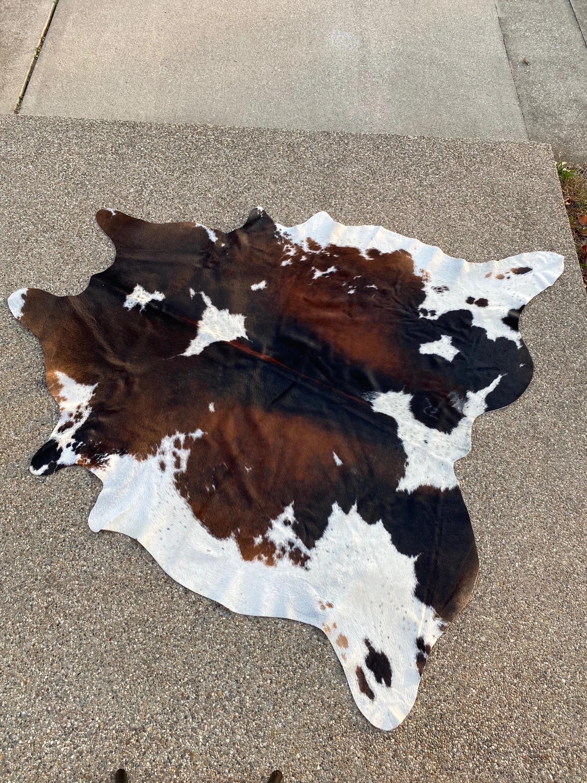 98EAC3F8-6775-48C0-808B-BE0AB454D50D