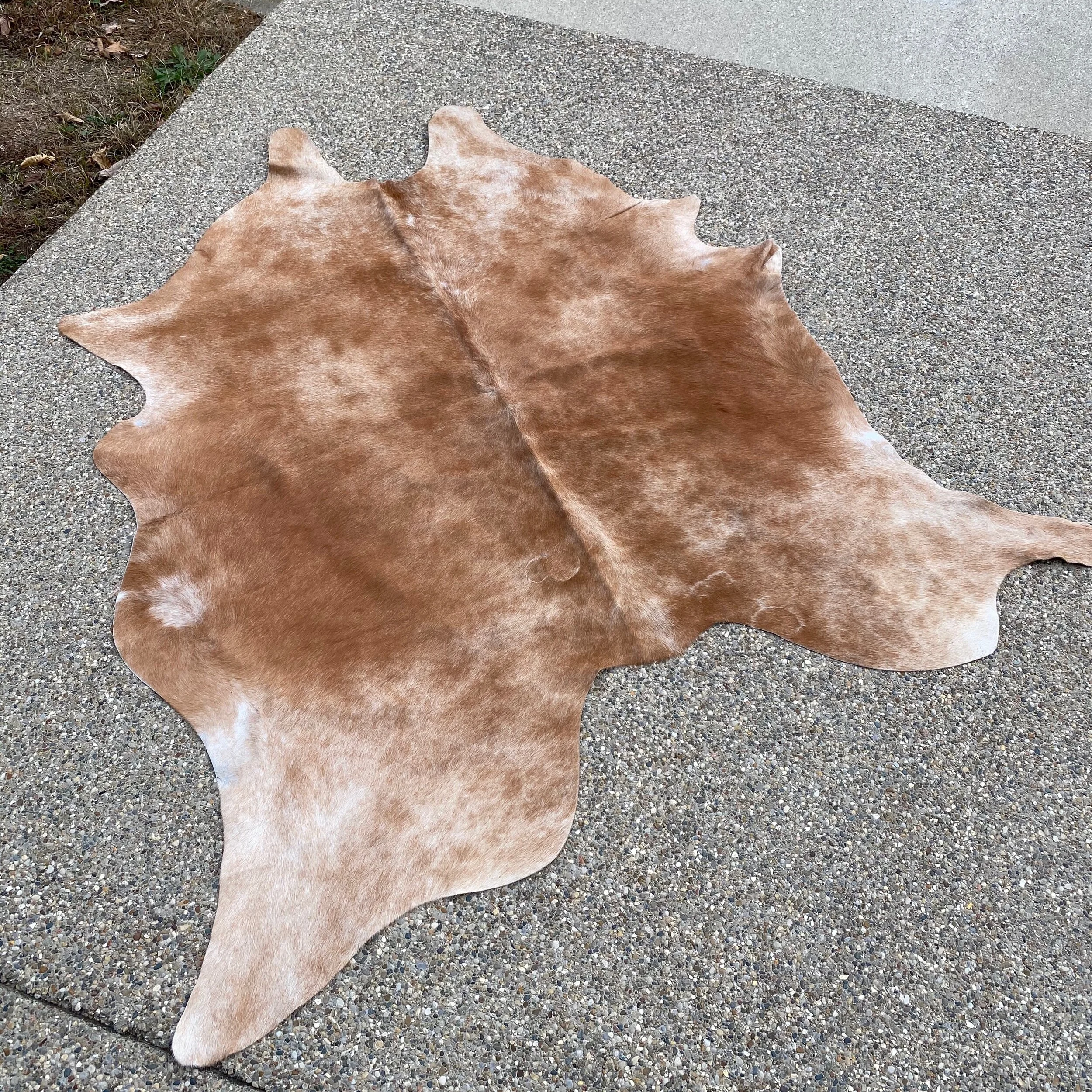 3A963CA7-3437-40AC-AE47-B26DB66A9FD2