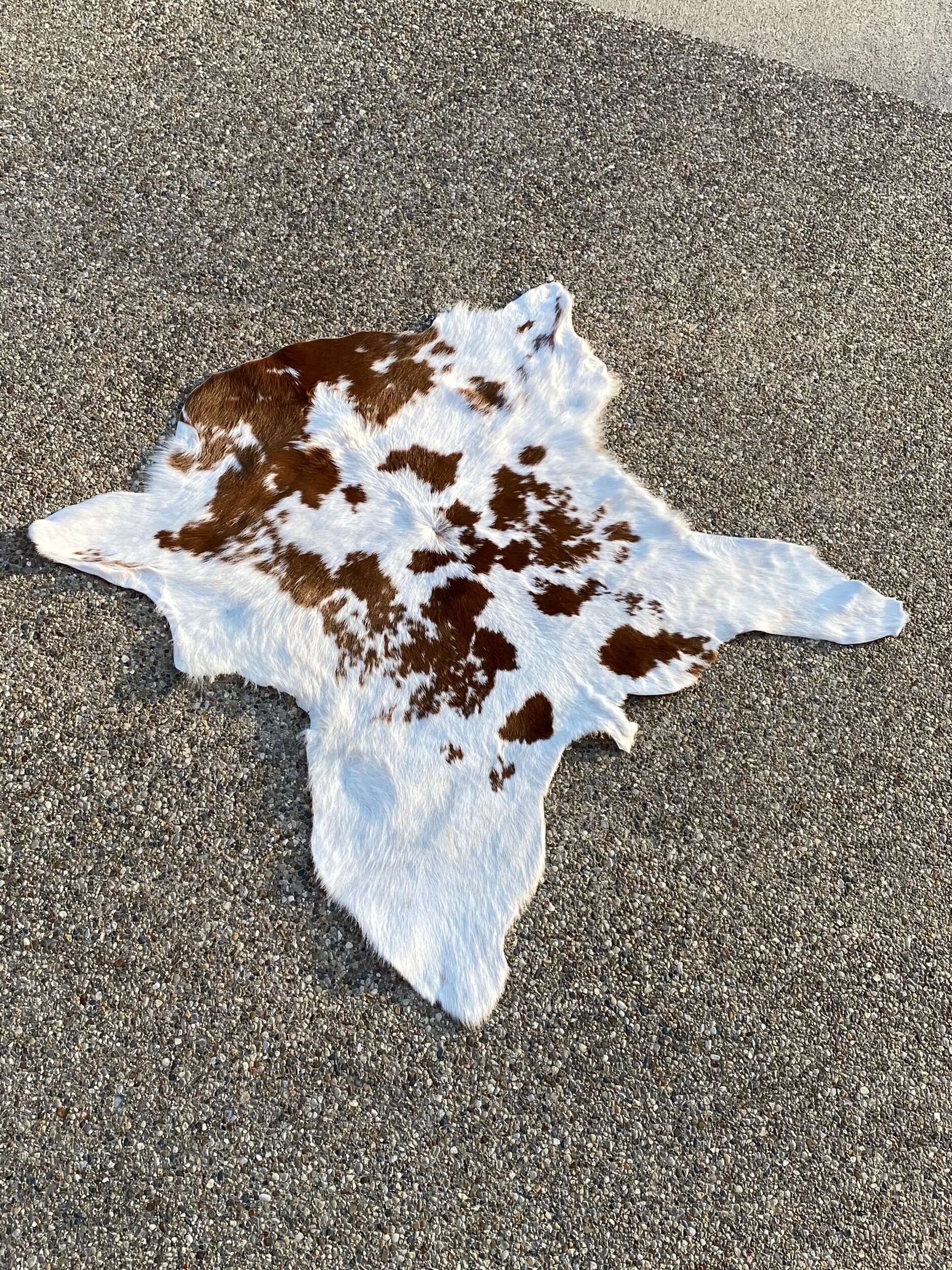 B0B1E067-5D6A-4B38-BD2D-44407F1278C5