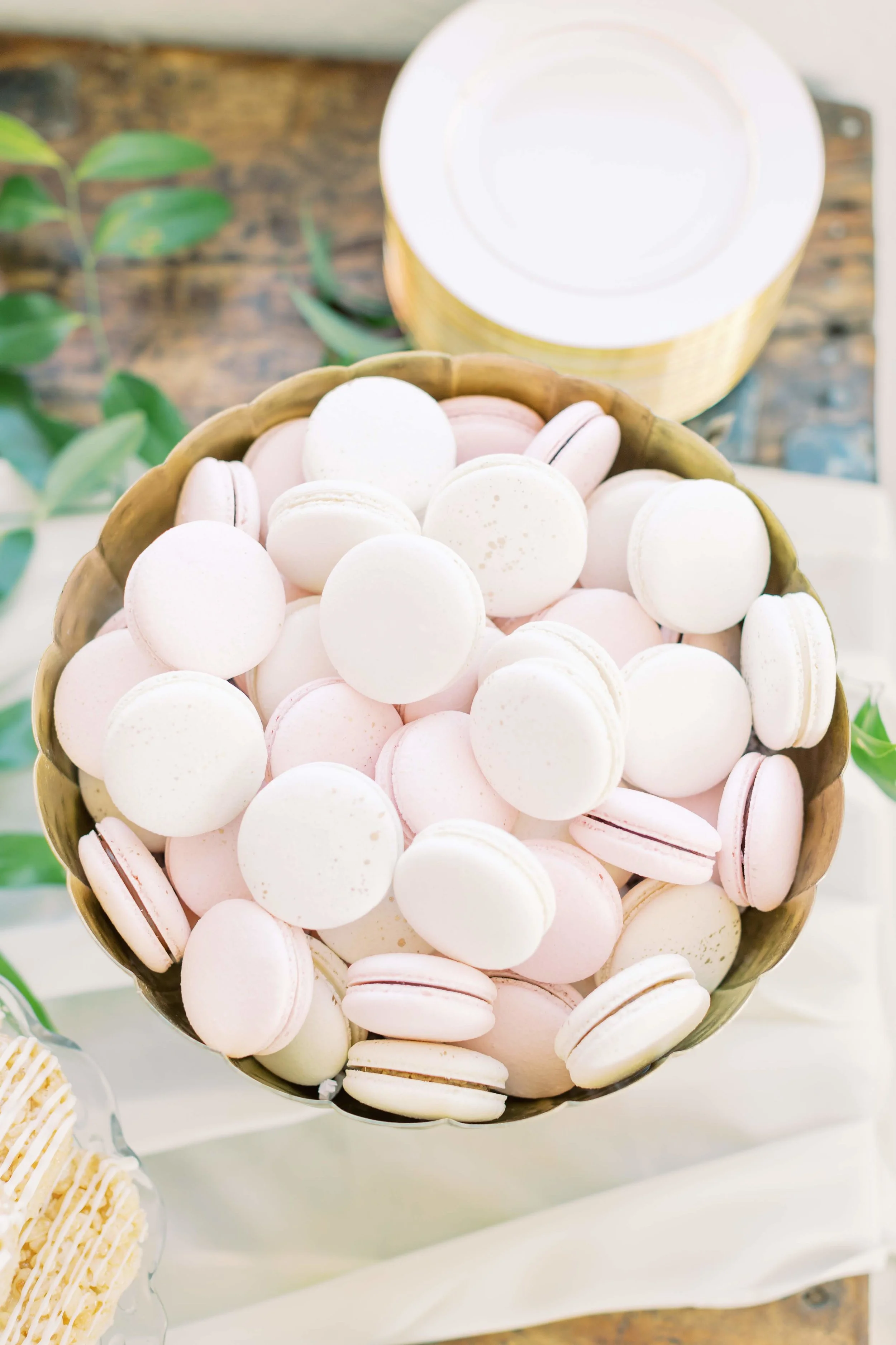 BaumBrideMixer2019-EventsbyKristinaElyseandPartyCrushStudio-AshleyBaumgartner-51.jpg