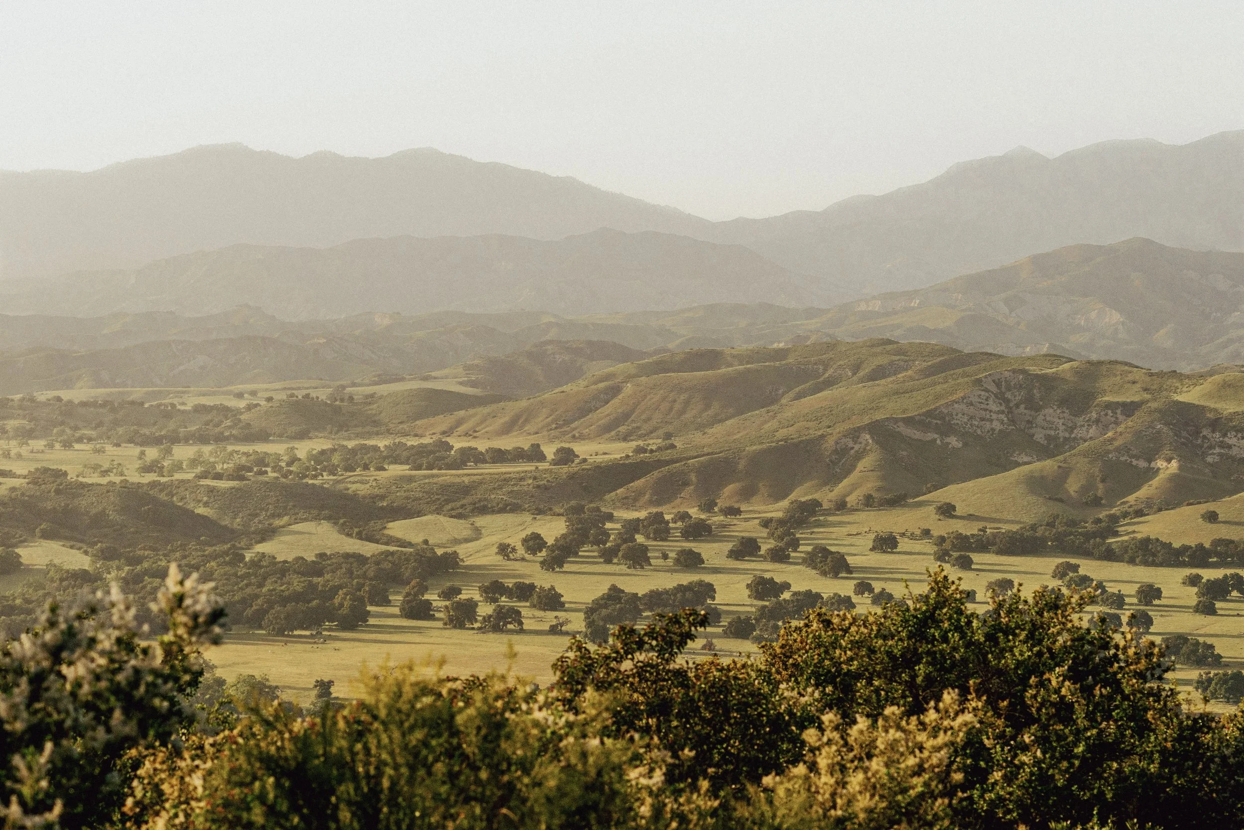 6-sb wine country.jpg