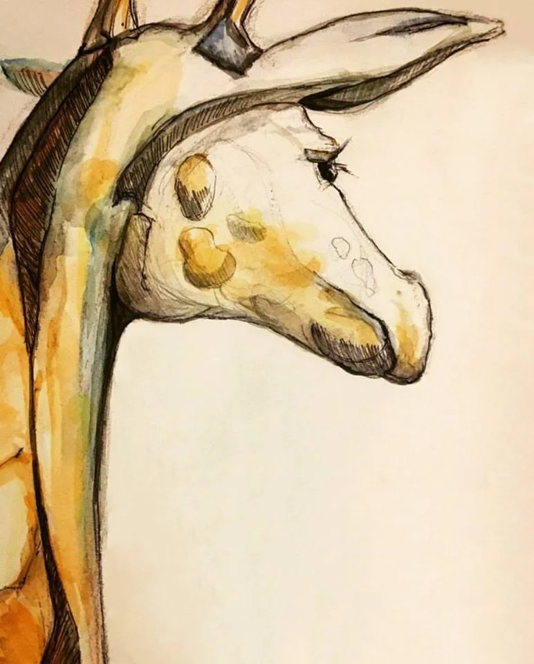 Giraffe.jpg