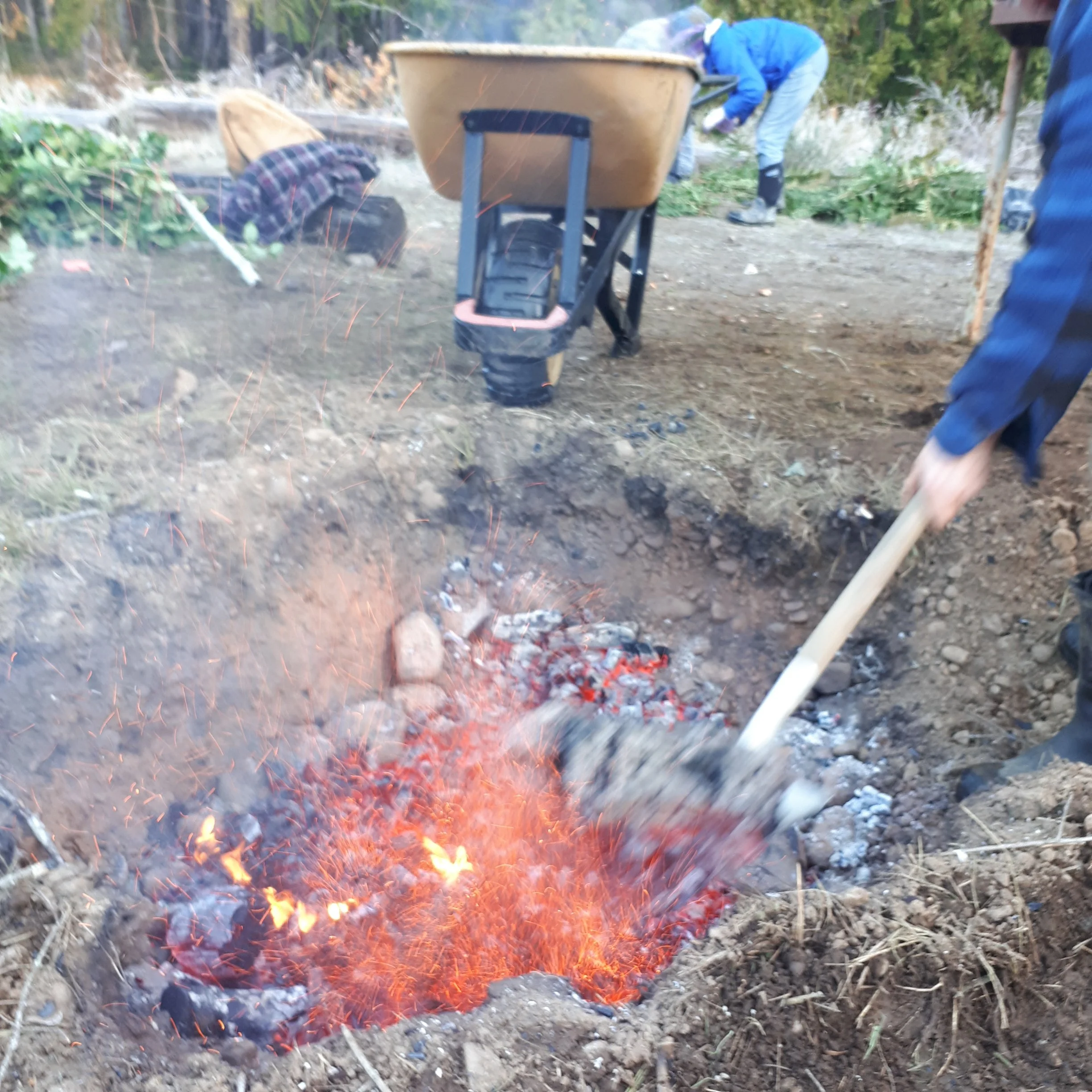 Active Hope Reading Group - Pit Cook