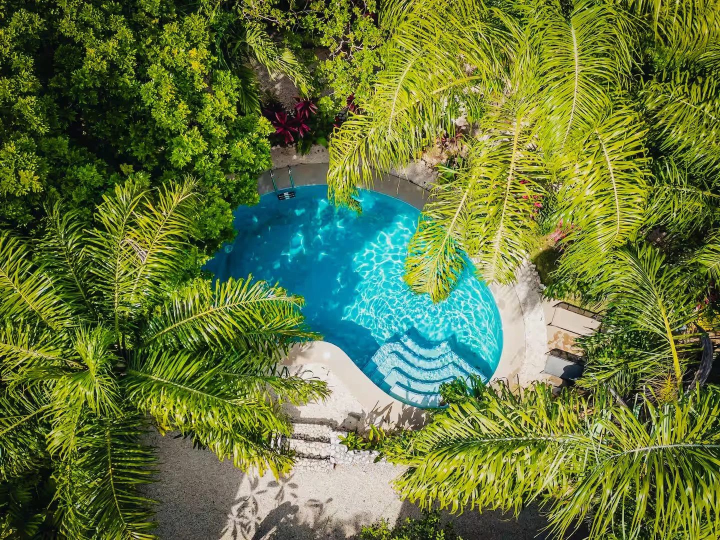 2BR 2Bath Pool Garden Surfers Paradise (8).jpeg