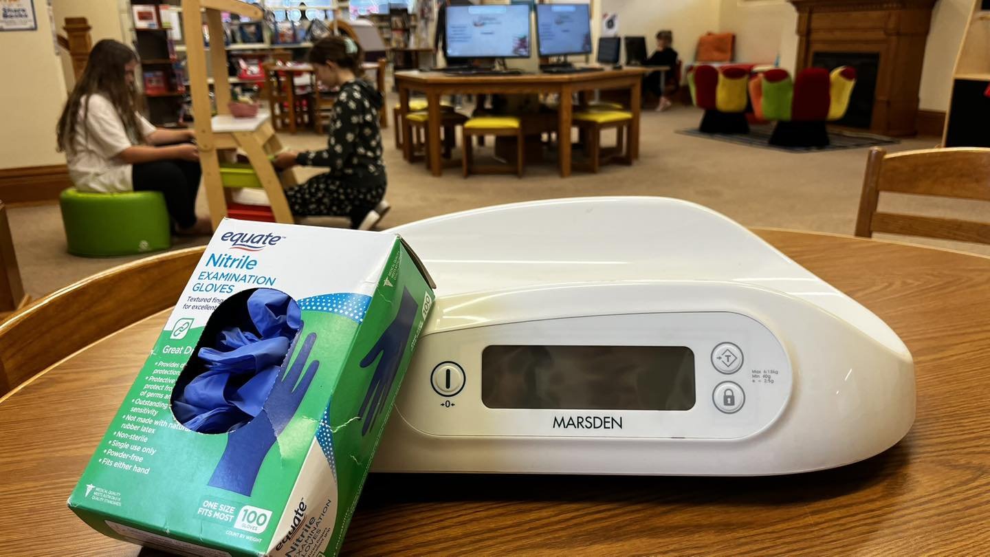 ✨ Did you know that I offer free weight and latch checks for breastfeeding babies at the weekly Flourish play dates on Fridays??? Today we&rsquo;re at dickinson.library until 12:30! No appointment needed. 

✨ Want to get text notifications about Flou