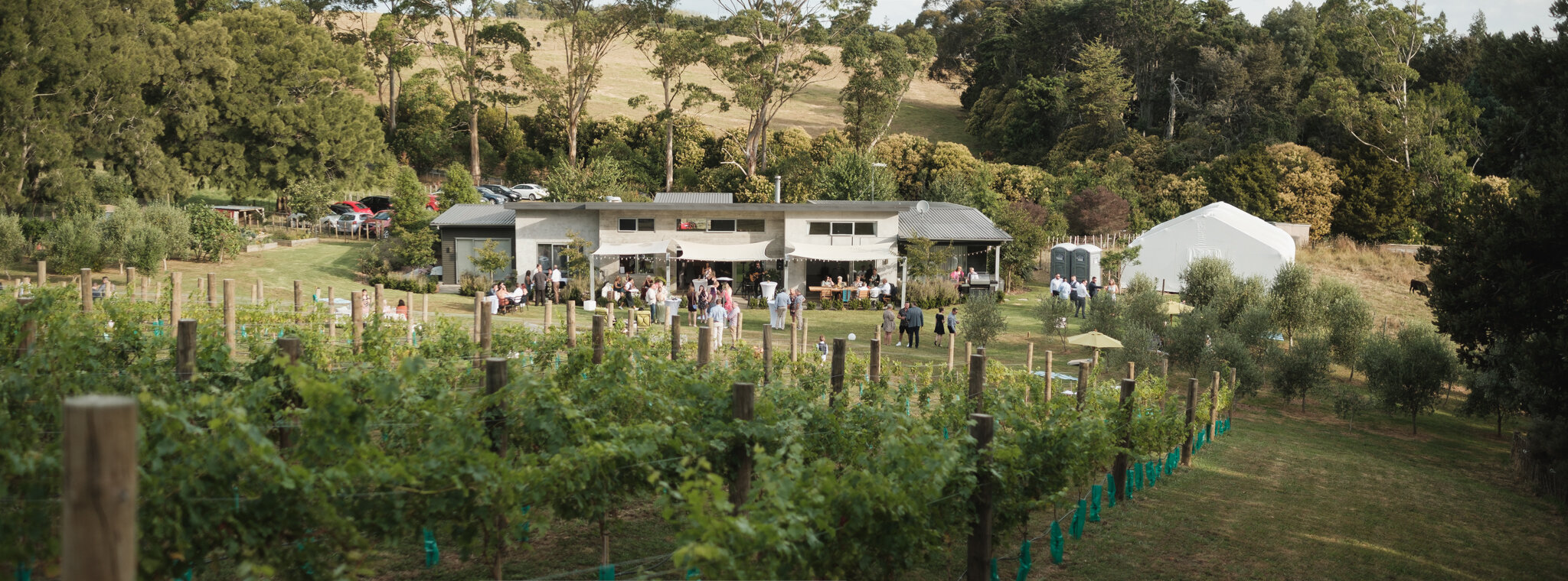 Wedding venue at vineyard