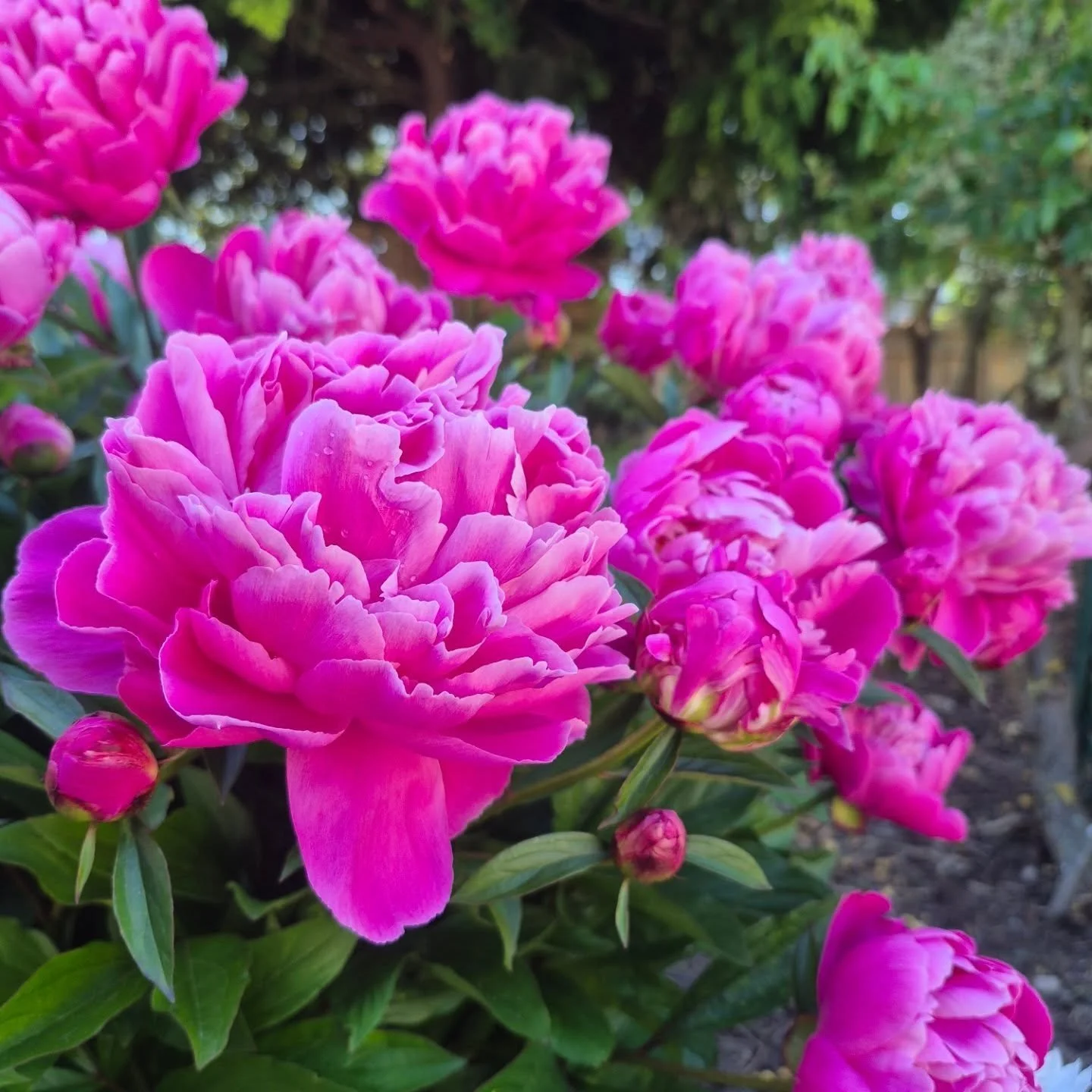 ⭐️⭐️⭐️⭐️⭐️

Mike &amp; I couldn&rsquo;t be more grateful for Vic!!! I can&rsquo;t stress how special the ceremony was because of the care she took in crafting a beautiful script that captured all the special things that make up our love story. I had 