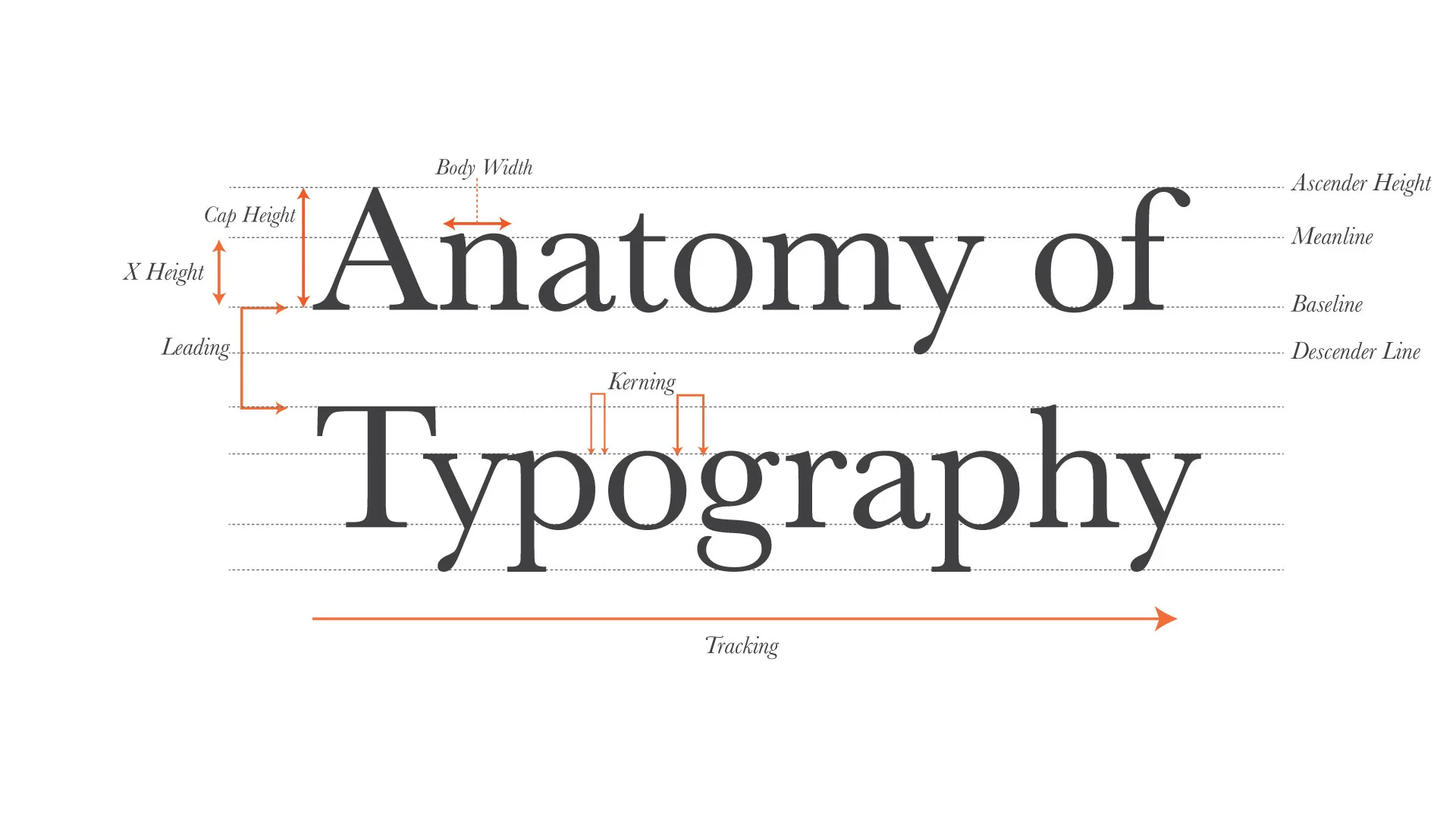 anatomyoftypography.jpg