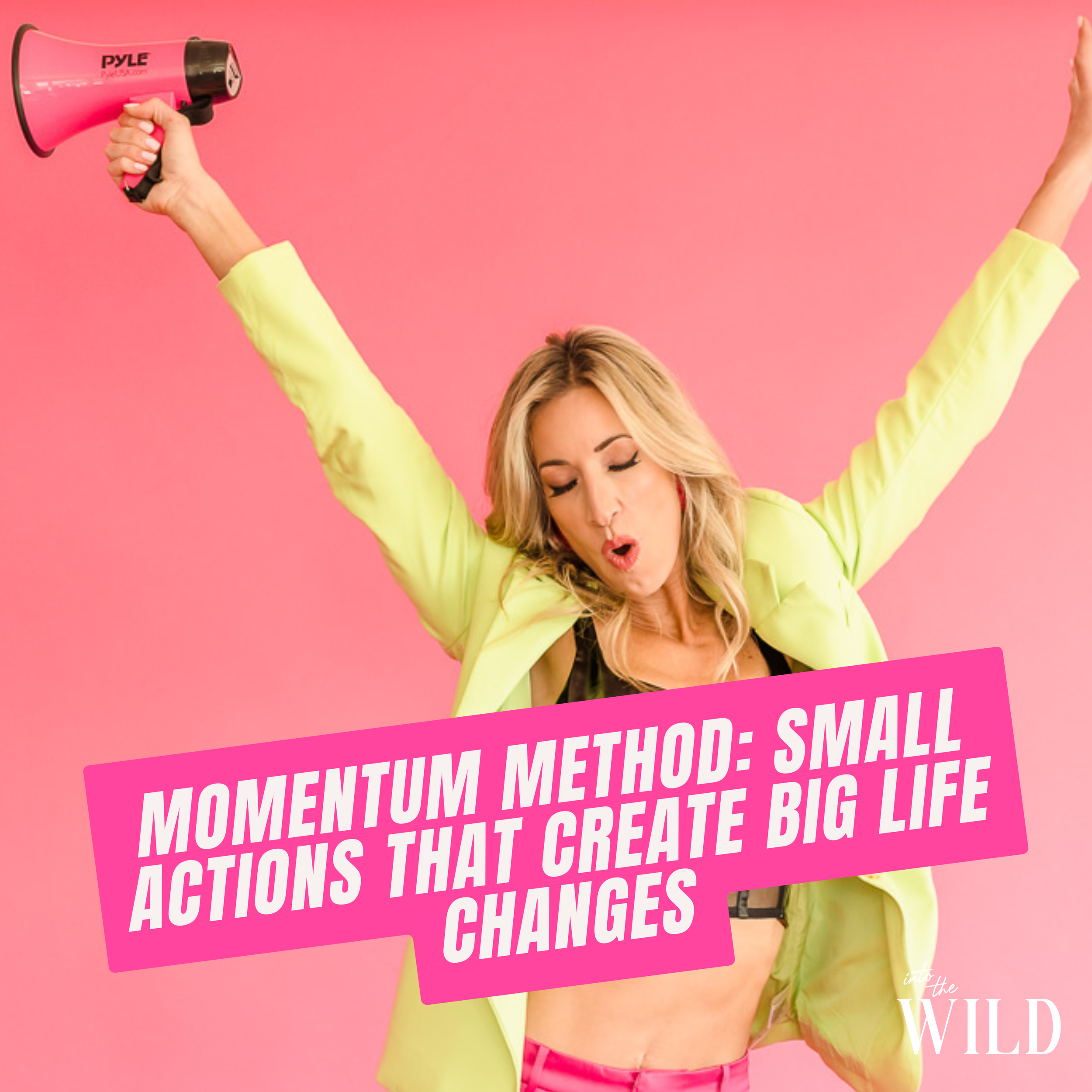 352. Momentum Method: Small Actions That Create Big Life Changes ...