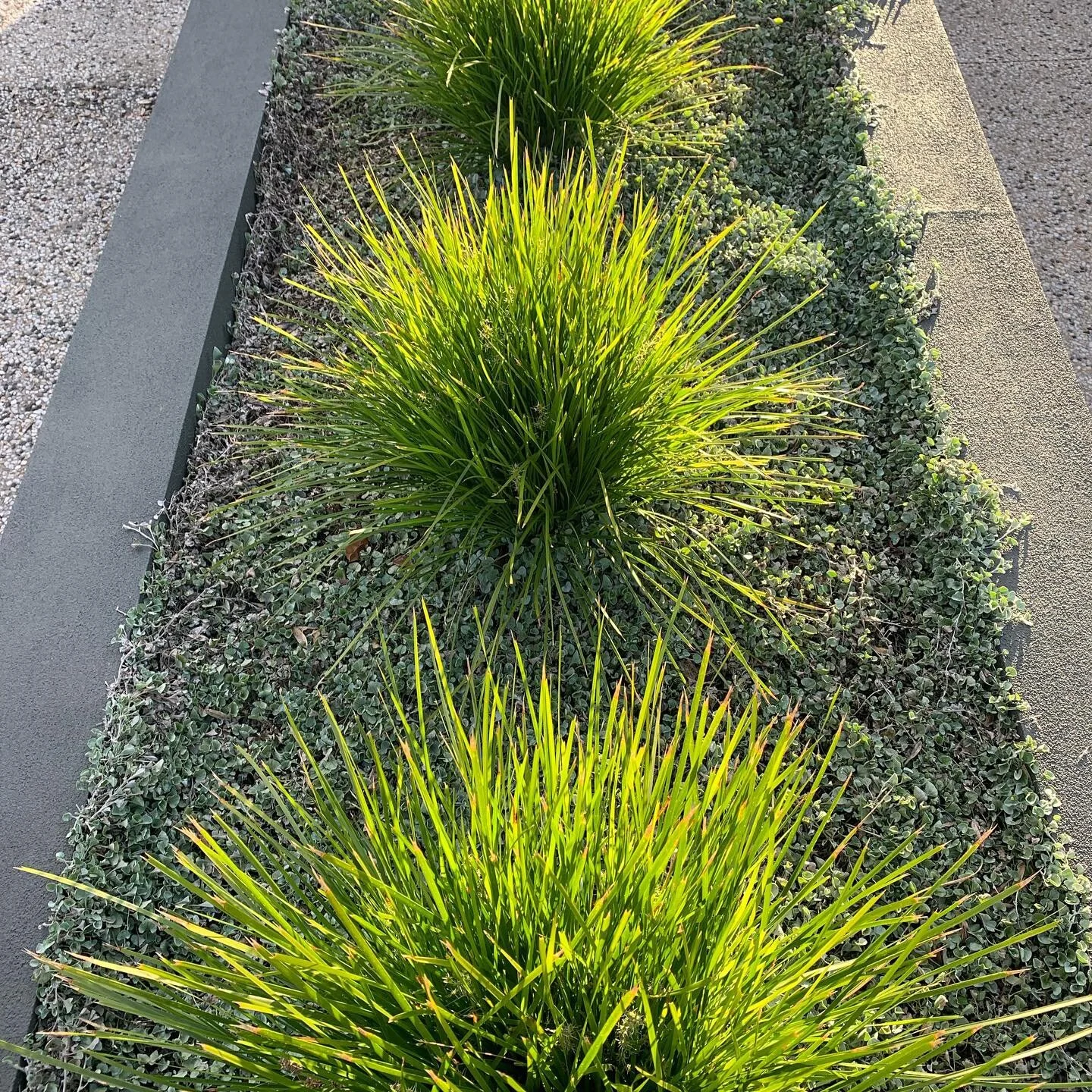 5AF3D237-977D-4A01-AA9F-8EF1B712AE11.JPG