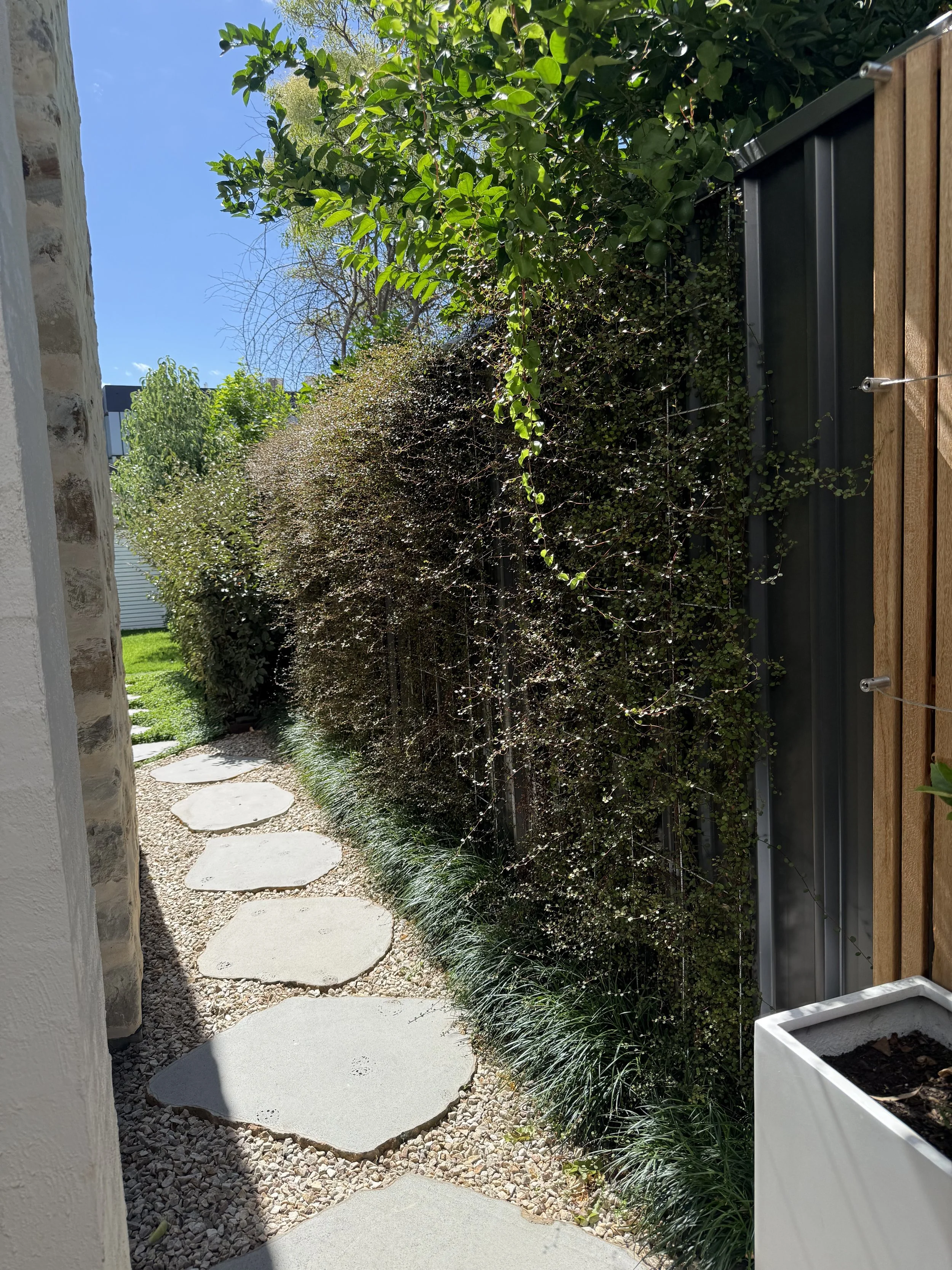 unley paglia side path.jpeg