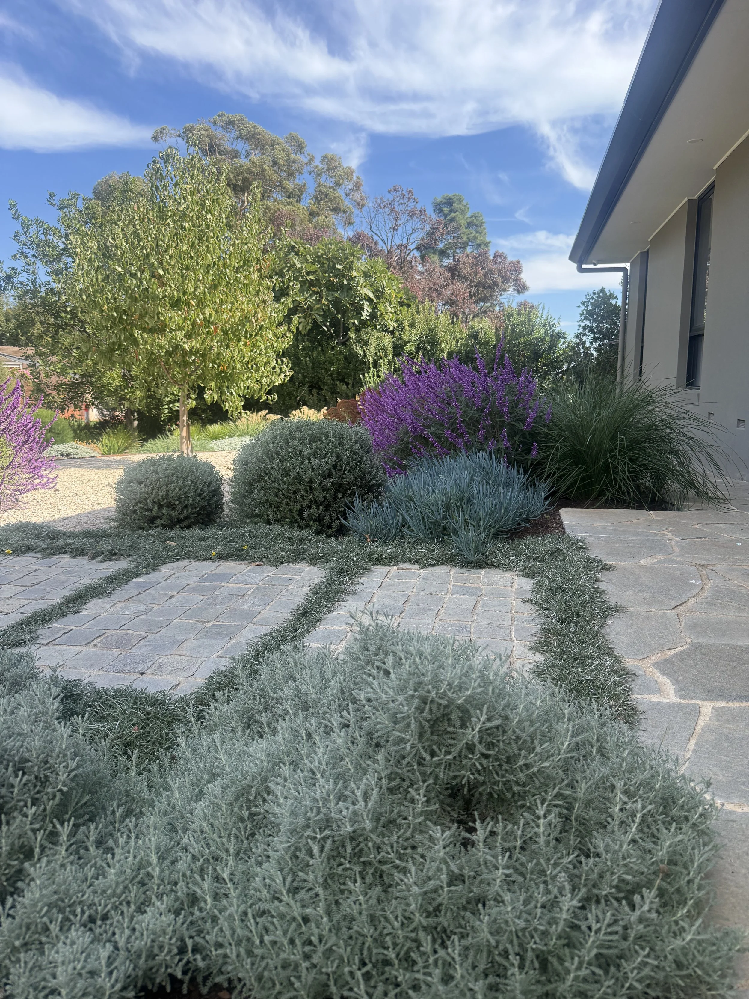 urrbrae boylan 1.jpeg