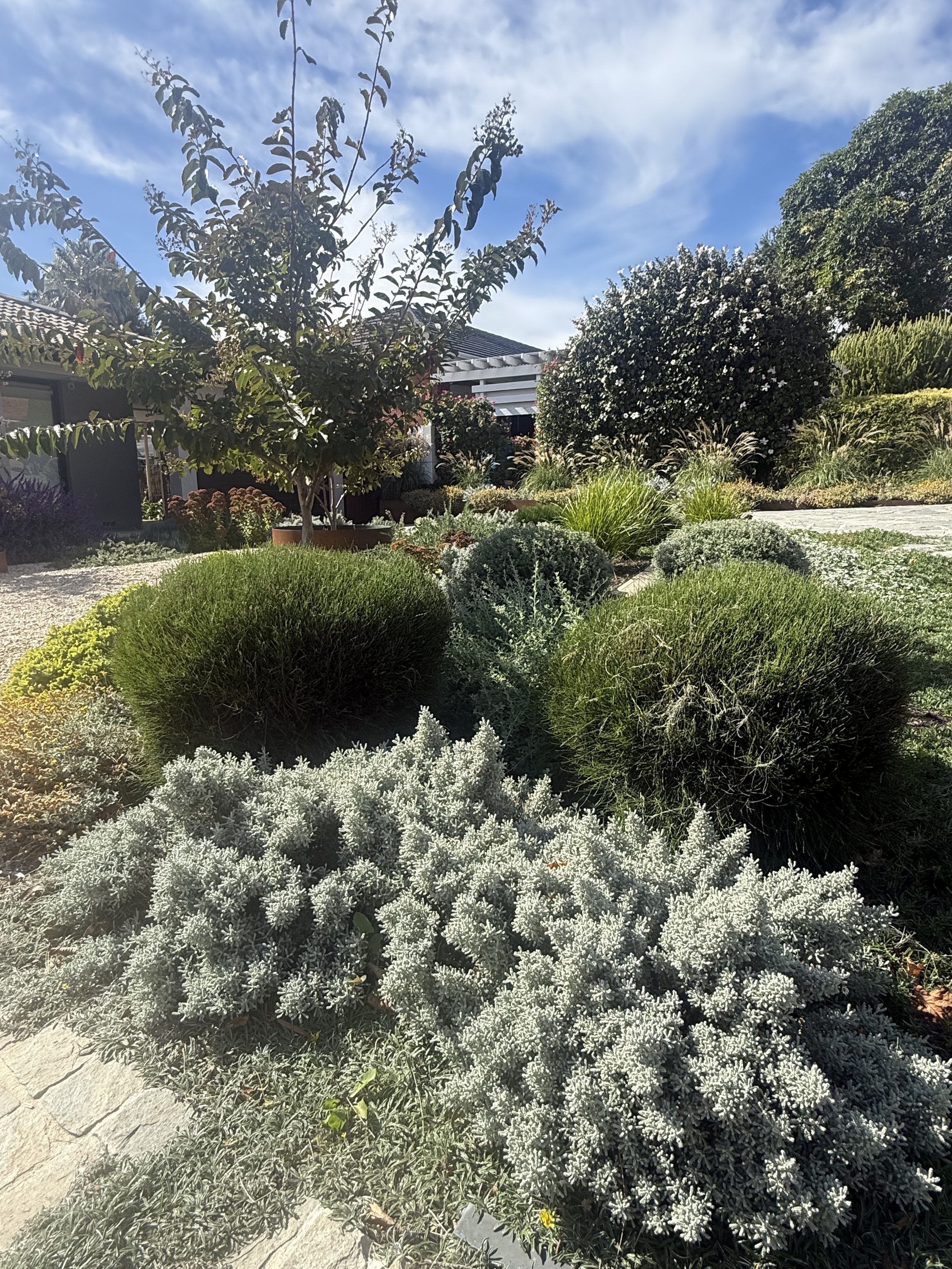 urrbrae boylan 3.jpeg