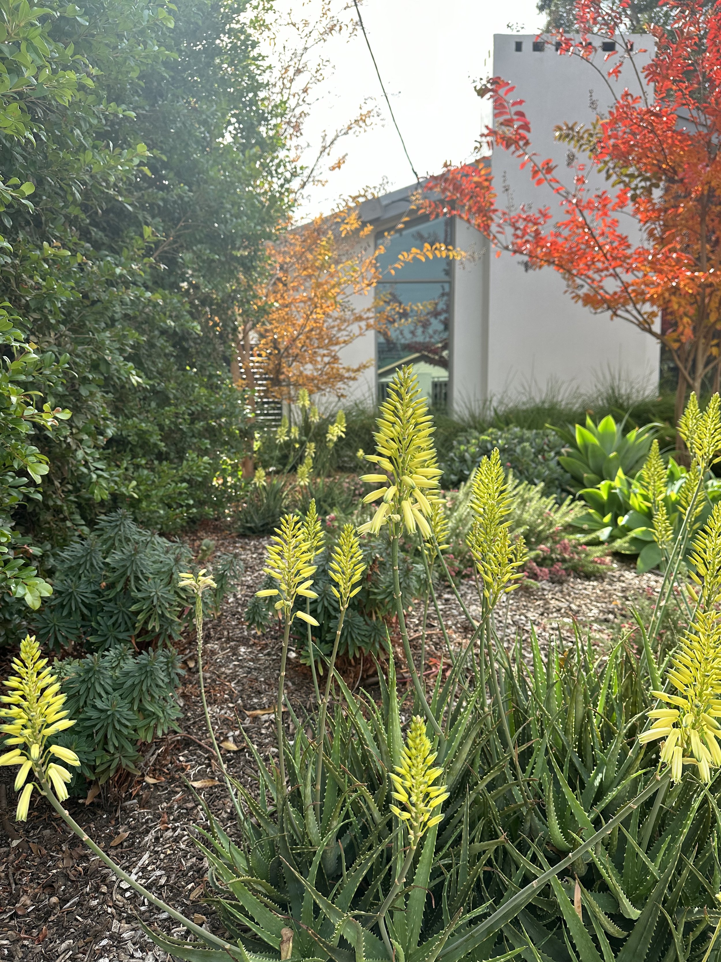 keelan garden.jpg
