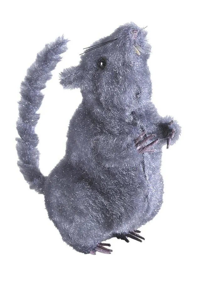 ratto-7764M-brucaliffo-widmann.jpg