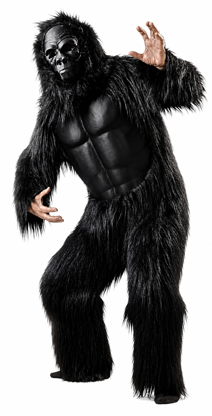 gorilla-sartoria-noleggio-brucaliffo.png