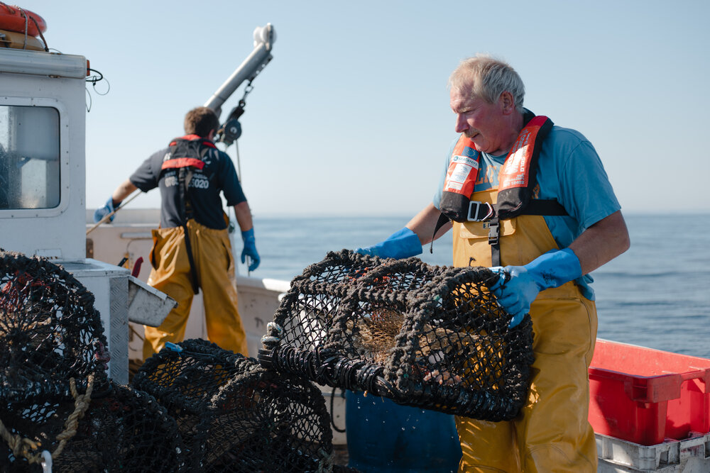 filmmaking-cornwall-fisheries