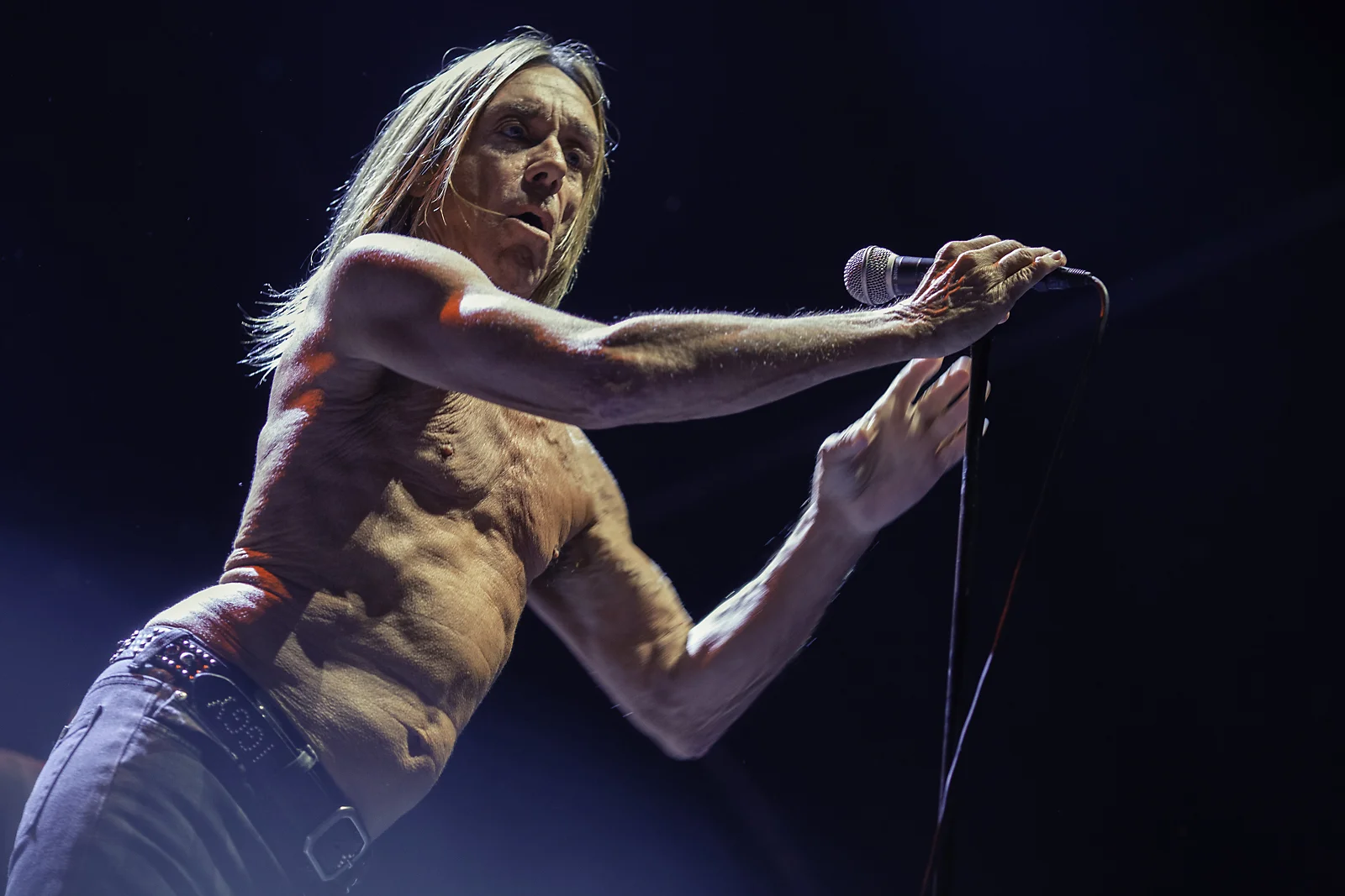 Iggy Pop
