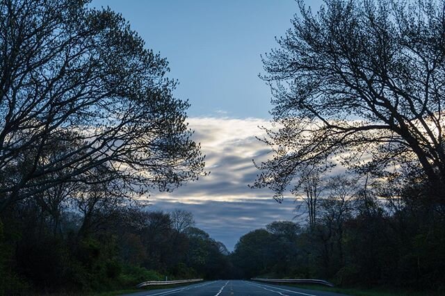 Looking ahead, and down the road.

#tbt #fromthearchives #montauk #mtk #theroadahead #trees #nature #outdoors #landscapephotography