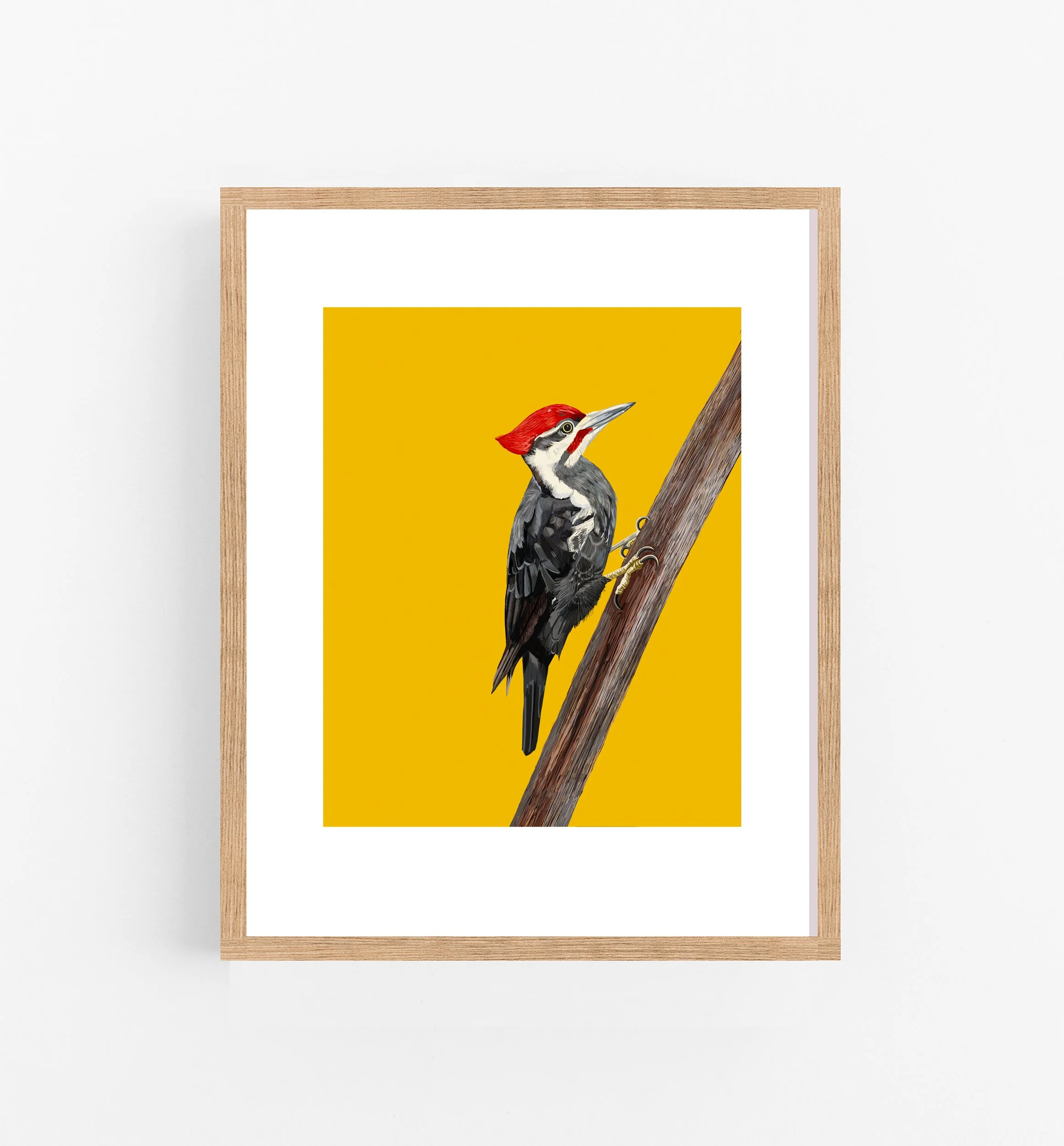 The Paleated Woodpecker Print