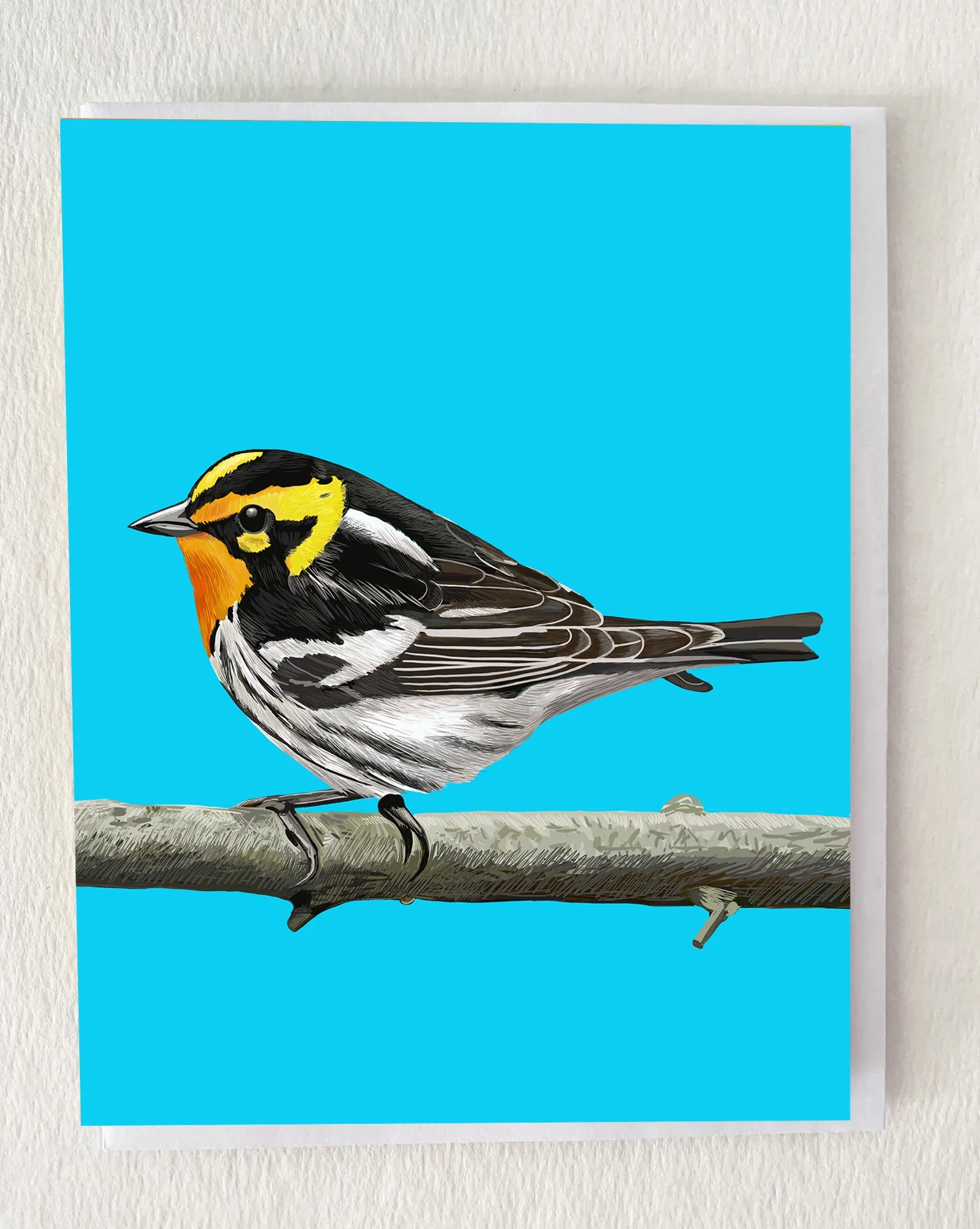 NEW ~~The Blackburnian Warbler Greeting Card