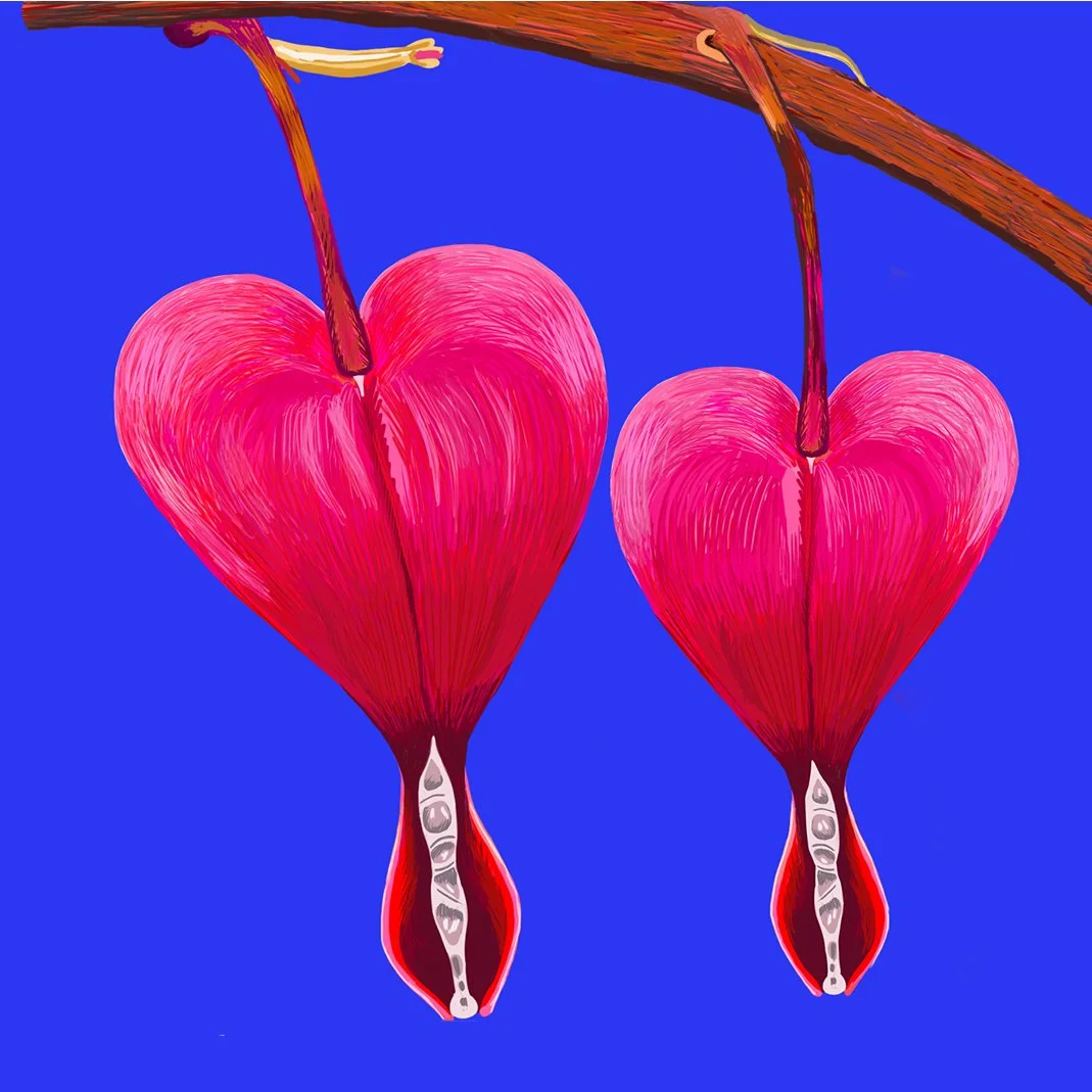 ZOOMFlowerBleedHearts.jpg