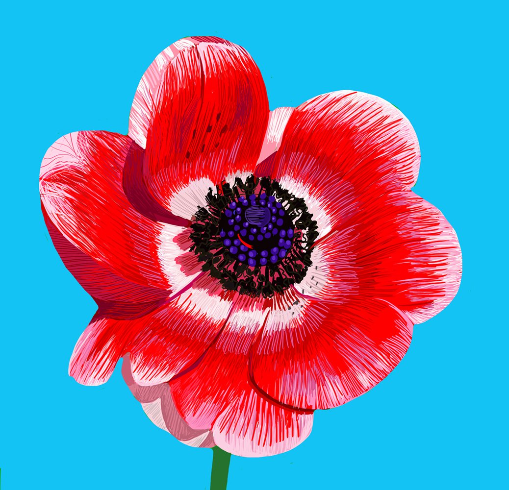 Flower Greeting Cards 