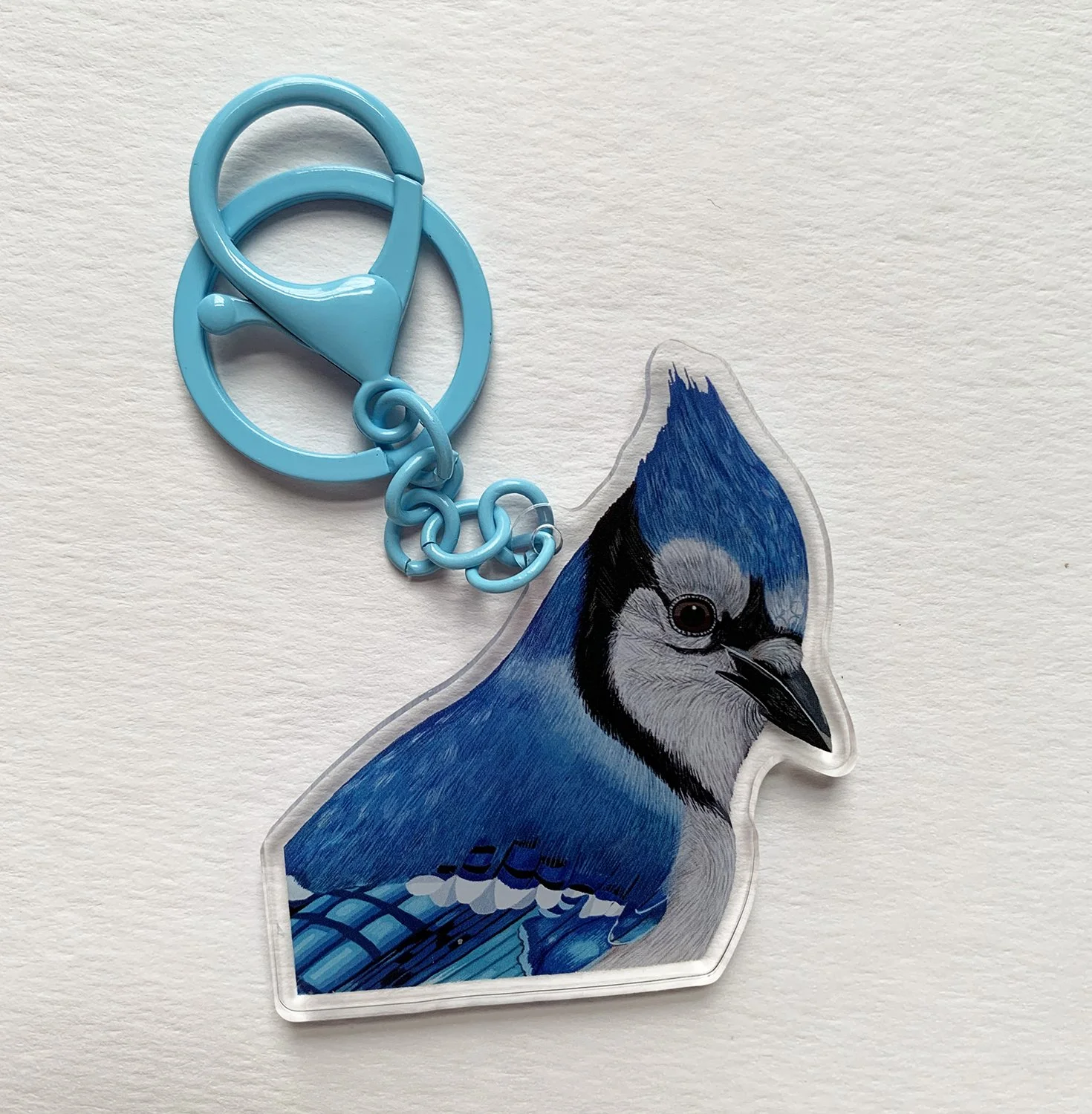 Blue Jay Keychain