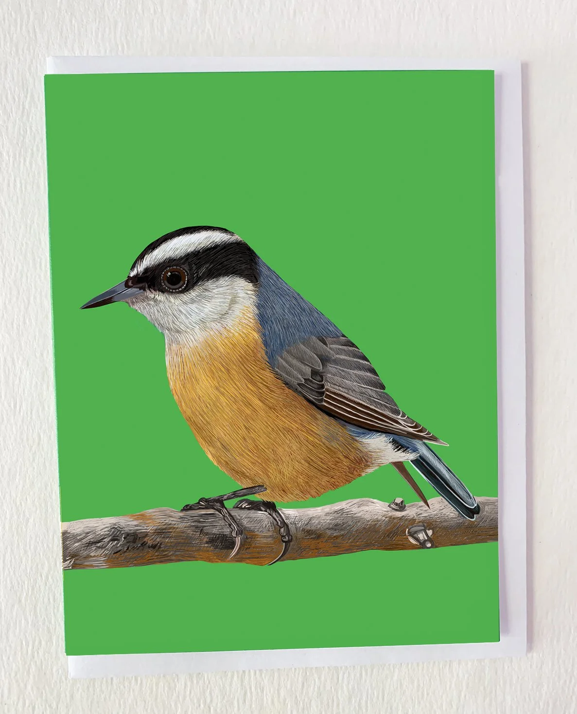 MOCKNuthatchBranch.jpg