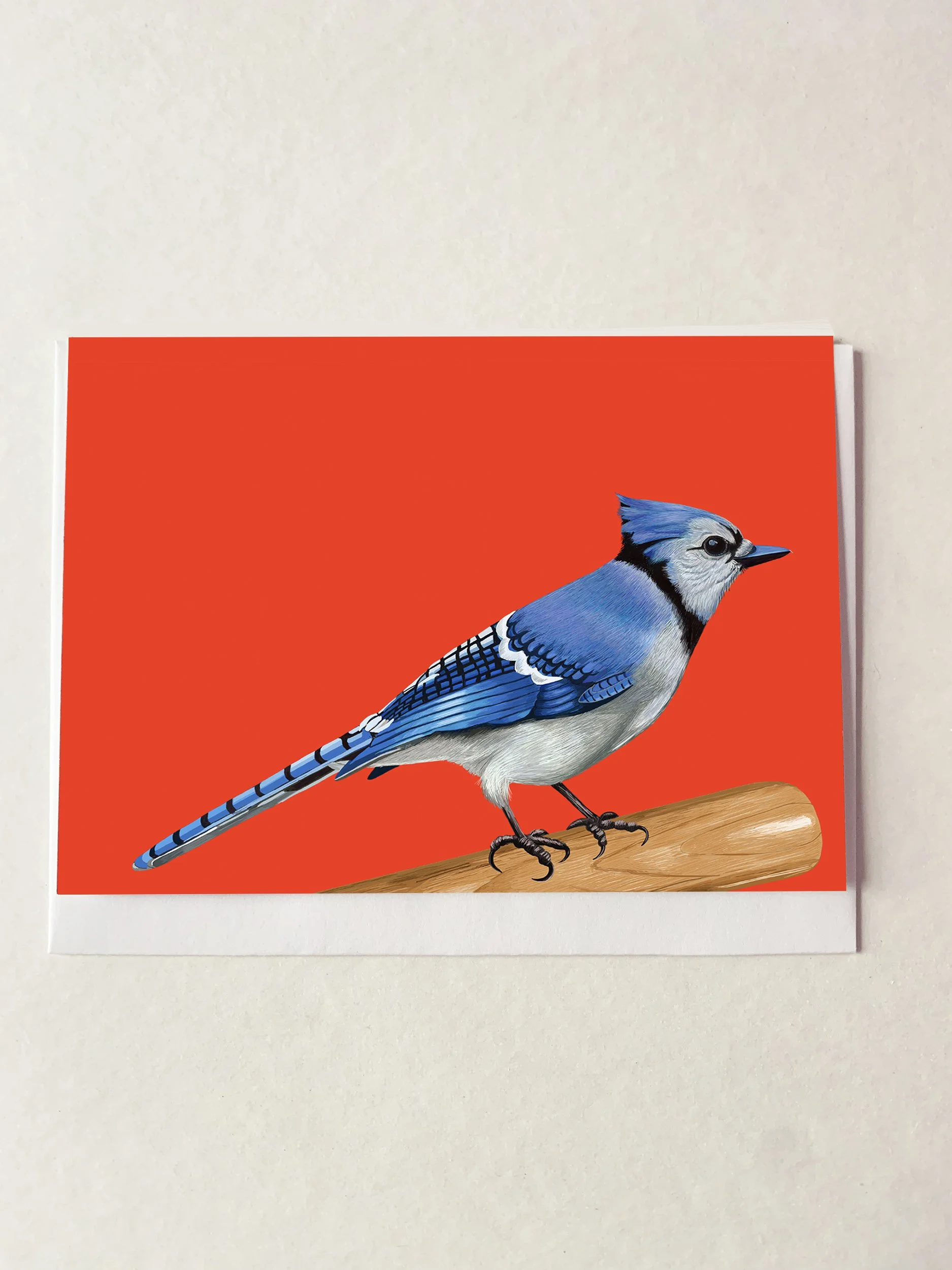 MOCKBLUEJAYBAT.jpg