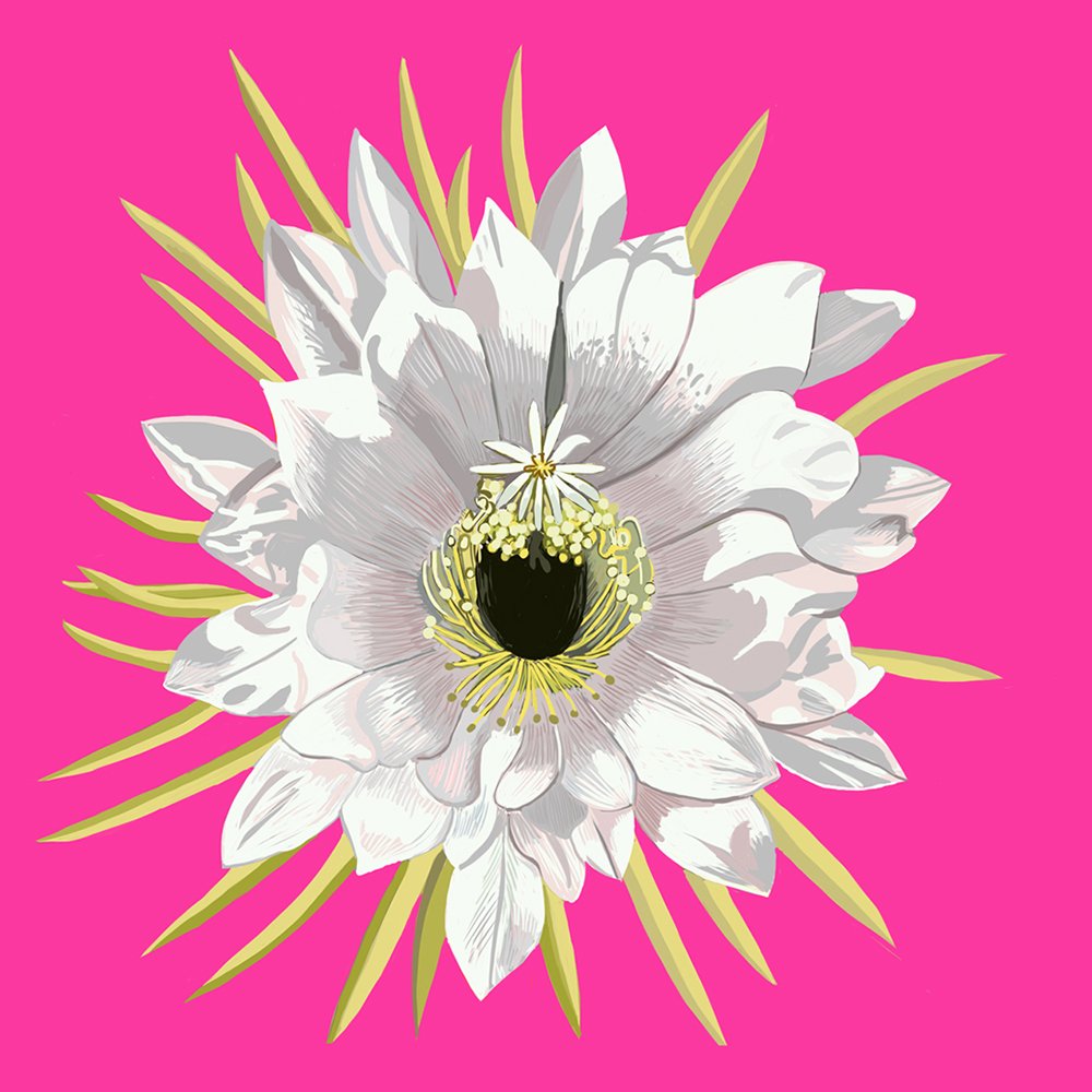 ZOOMFlowerQUEEN.jpg