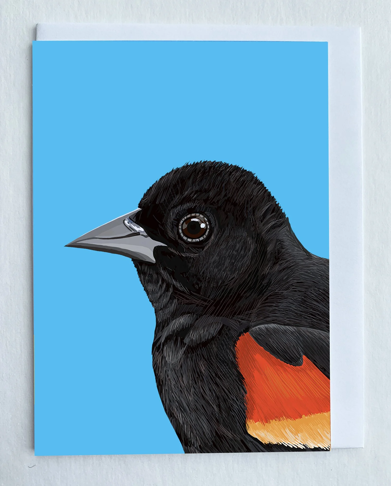 MOCKredWingedBlackbird.jpg
