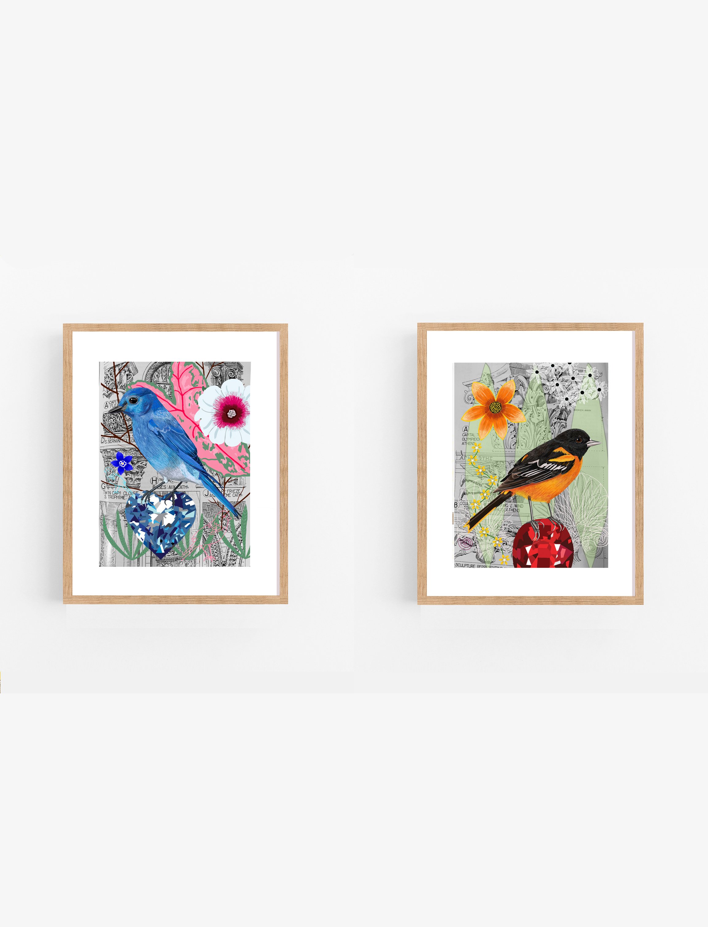 Bird Prints