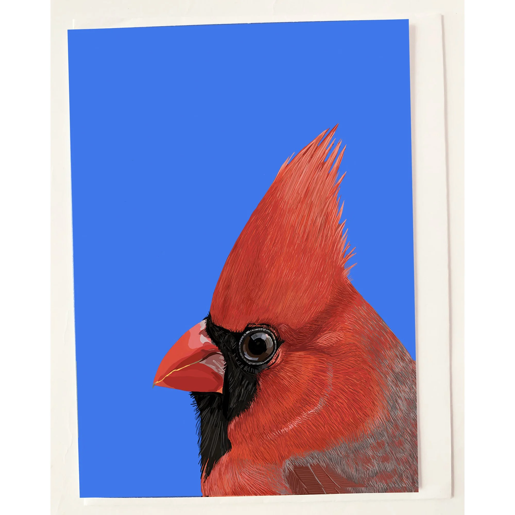 The Red Cardinal Portrait Greeting Card