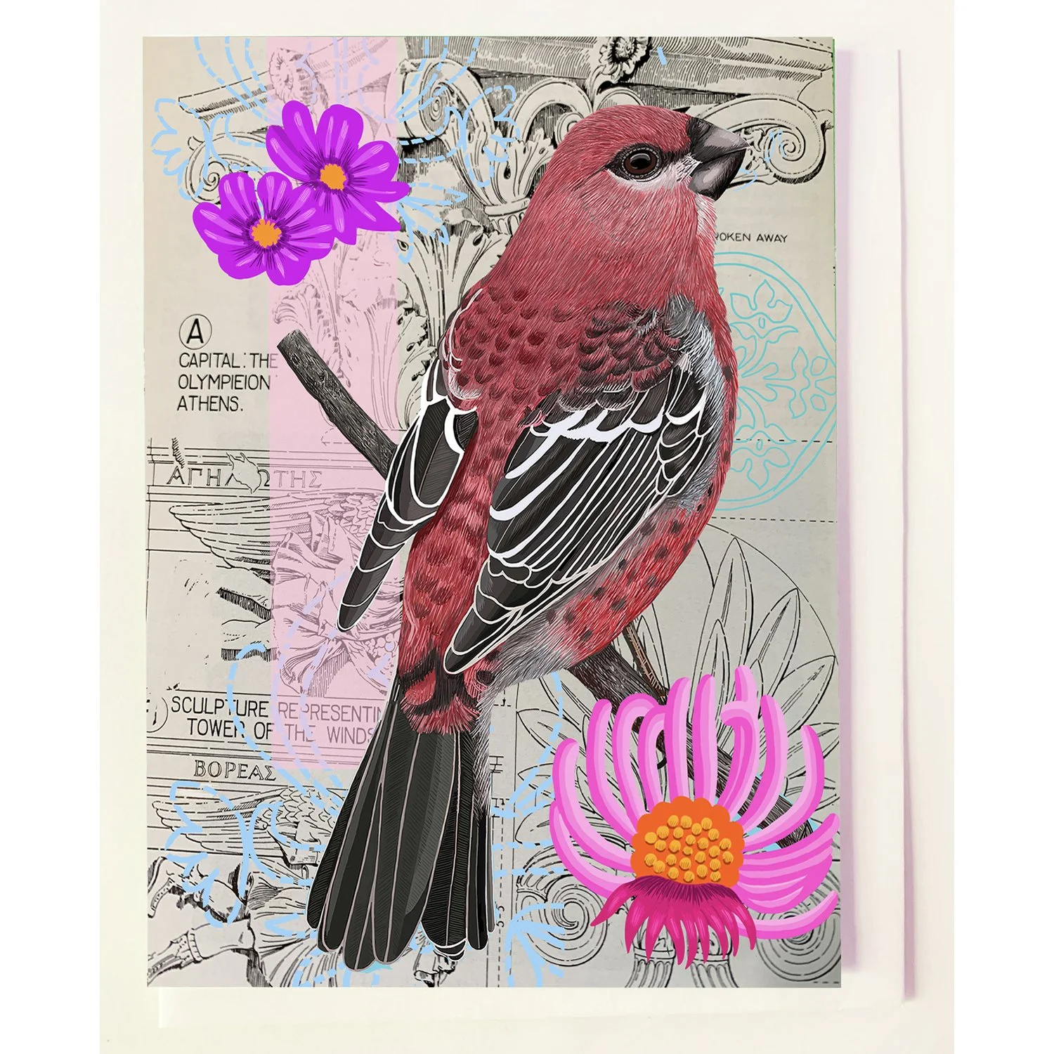 The Pine Grosbeak Collage Greeting Card