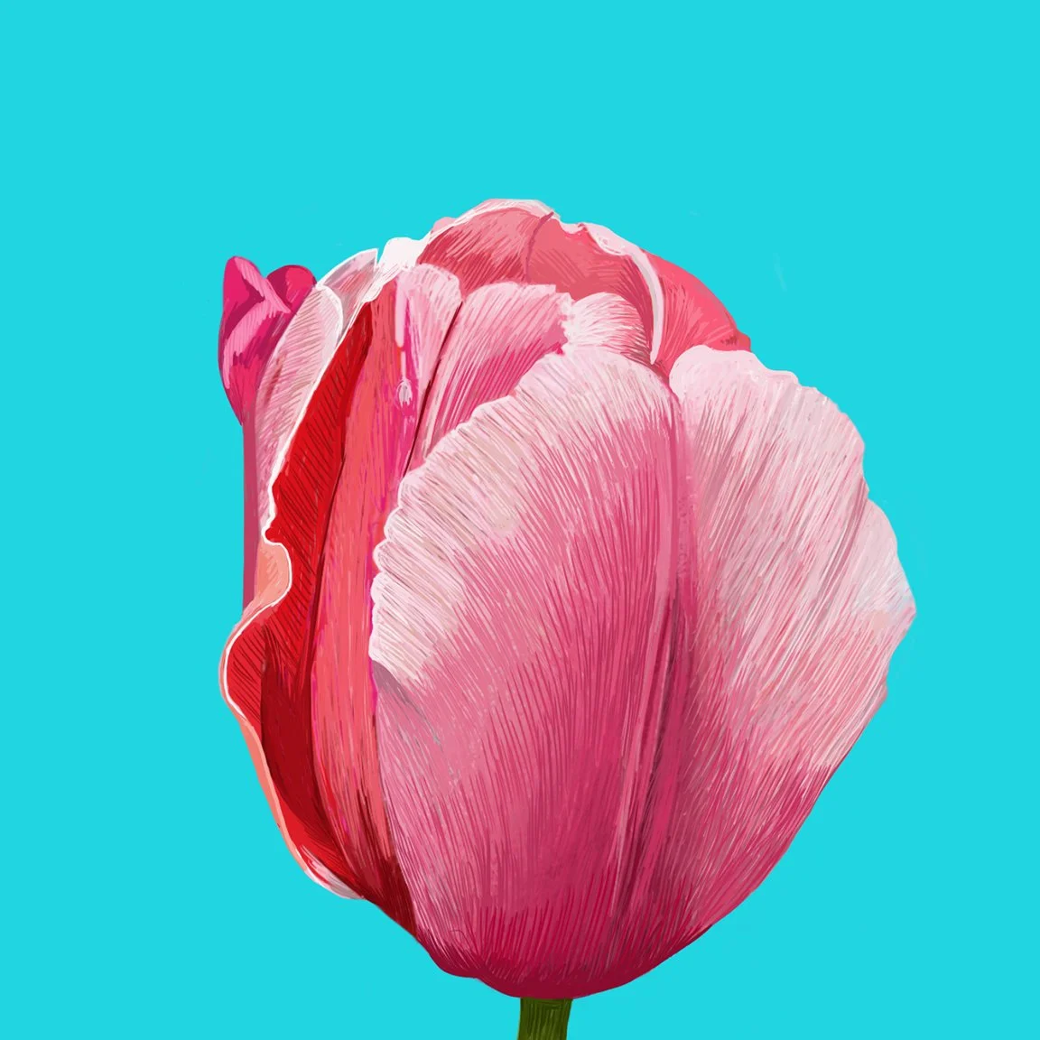 ZOOMFlowerROSE.jpg