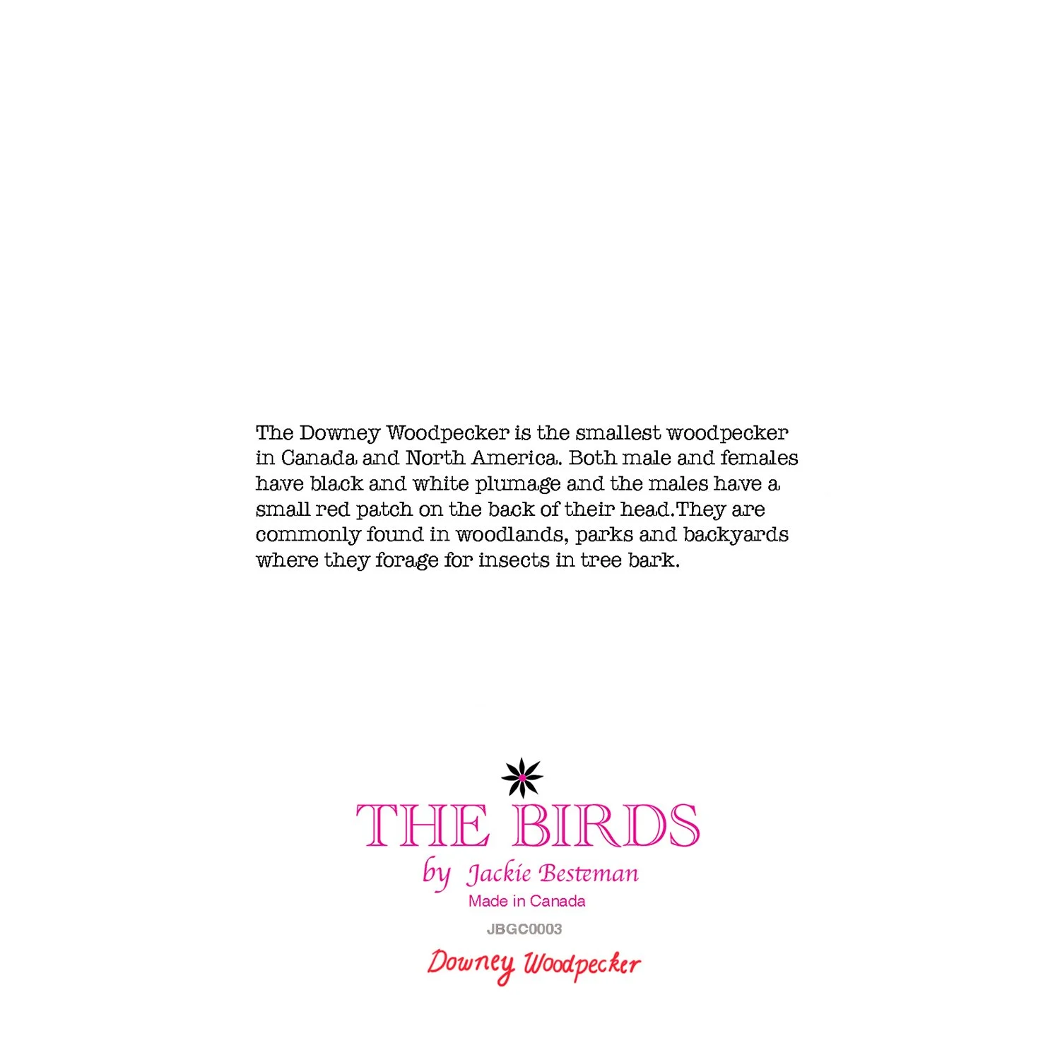 BACK2 downey Woodpecker.jpg