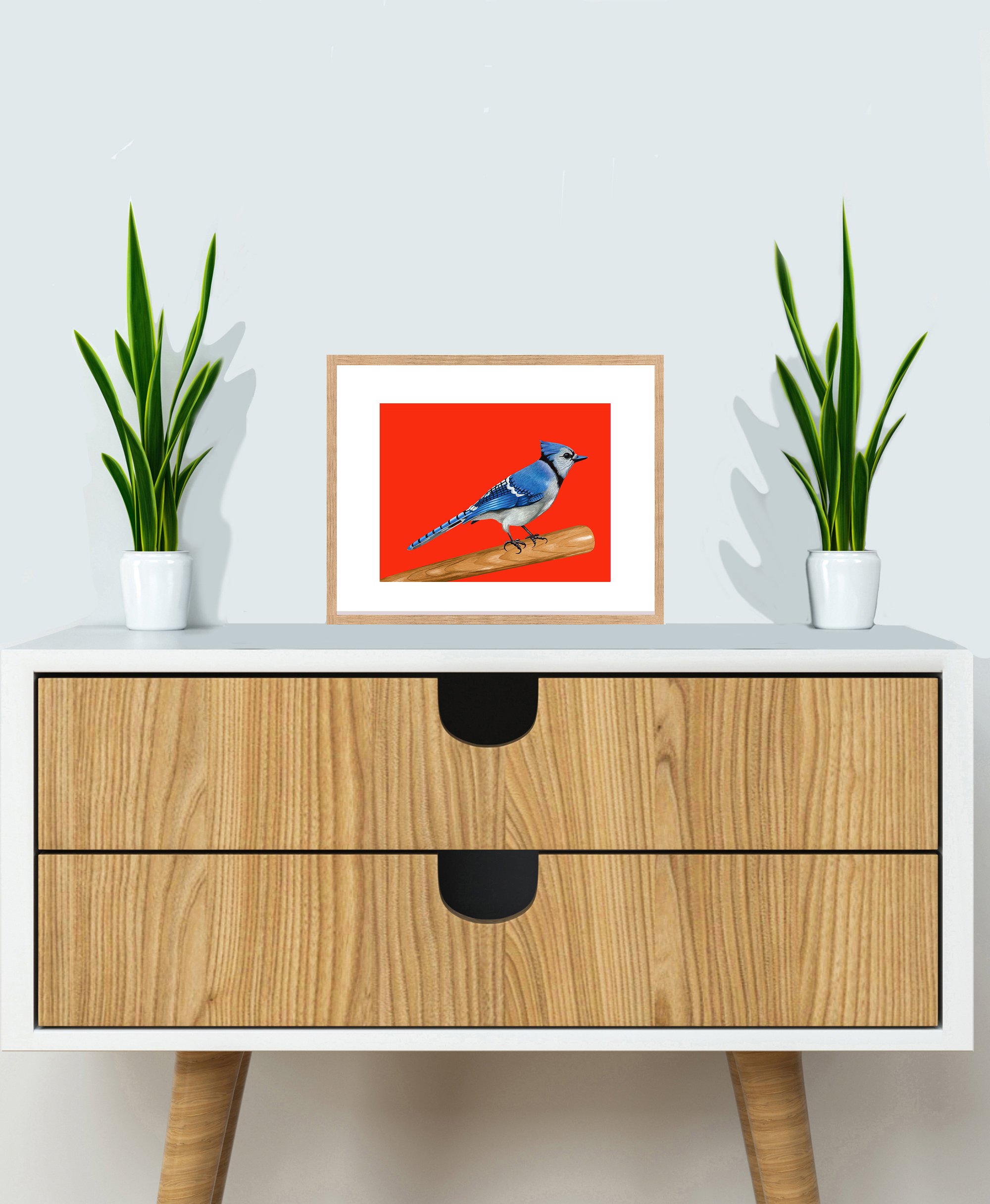 CABINETBlueJayBatRed.jpg