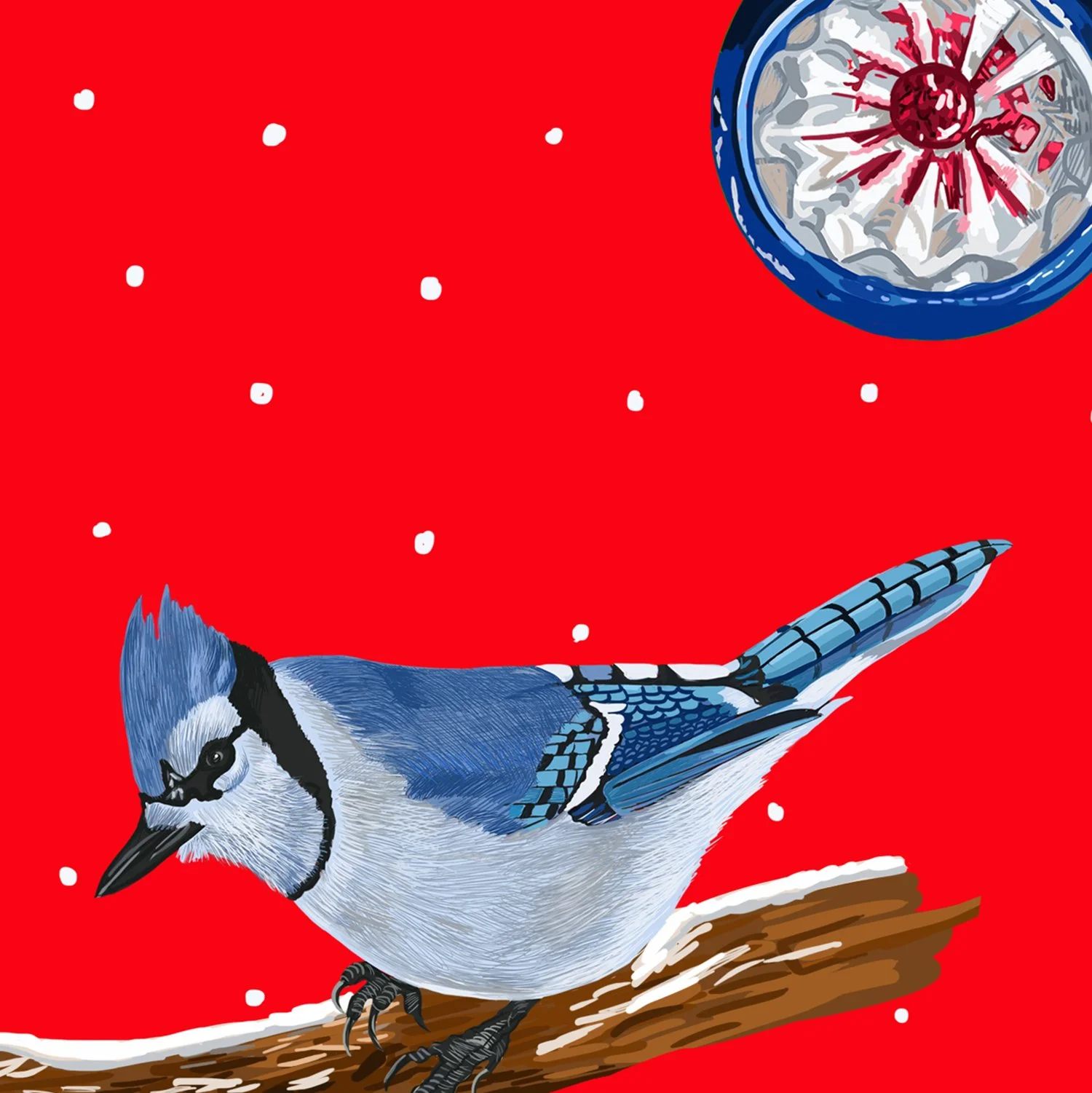 ZOOMX Blue Jay.jpg