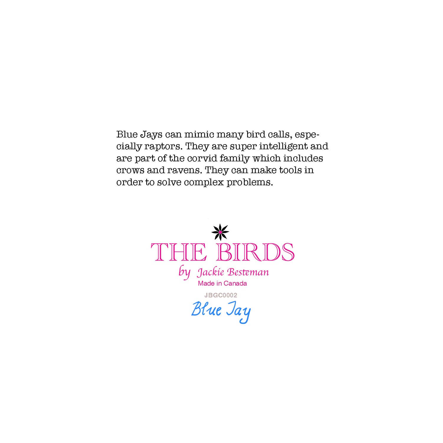 greeting card of blue jay bird