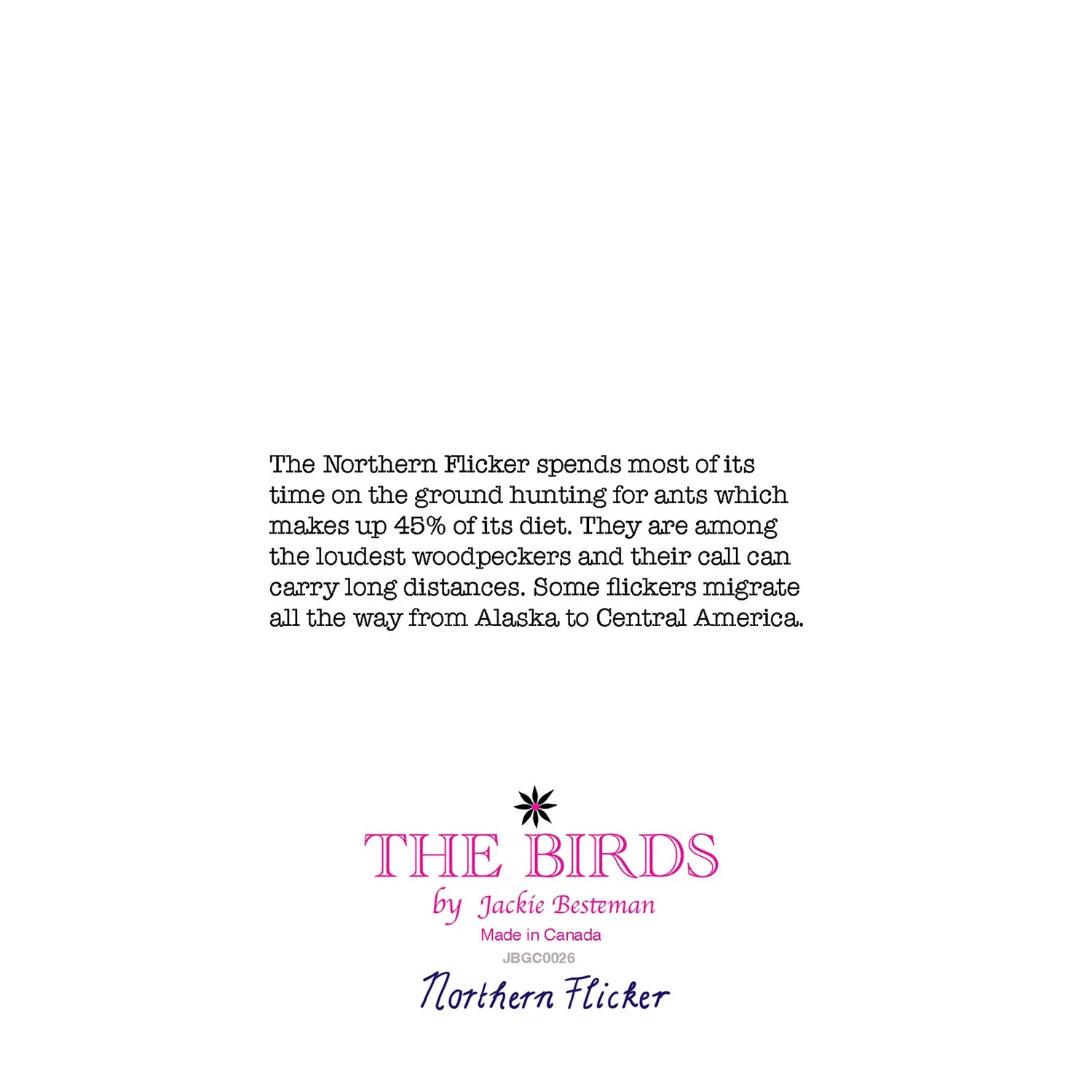 Illustrated Northern woodpecker bird greeting card