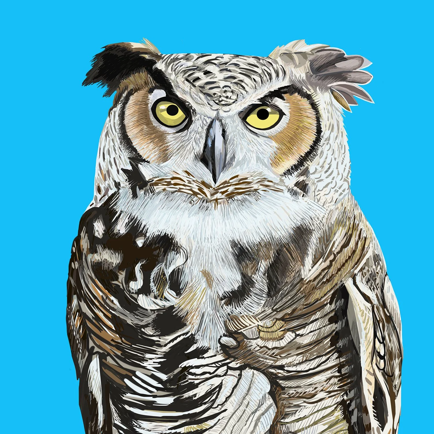 ZOOMHornedOwl.jpg