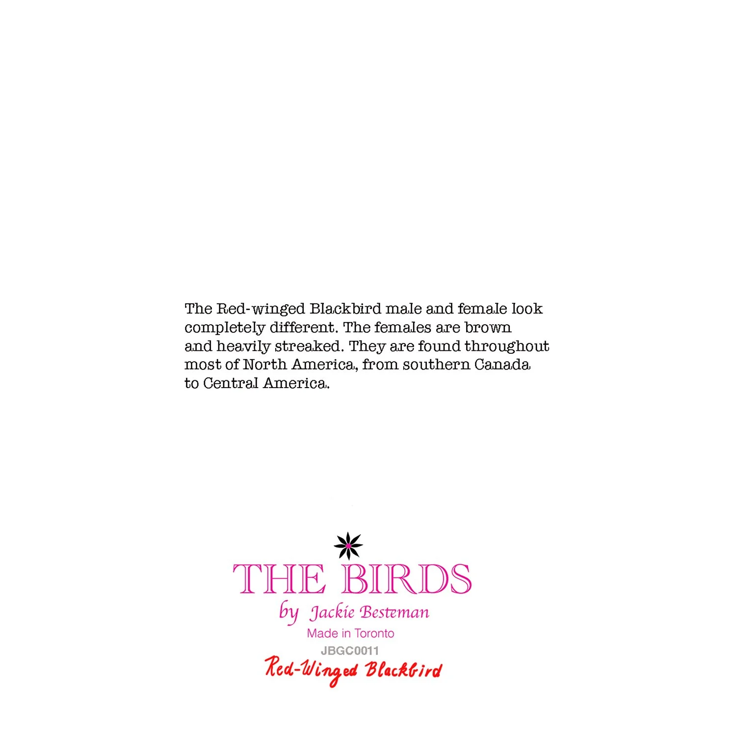 greeting card of red winged blackbird