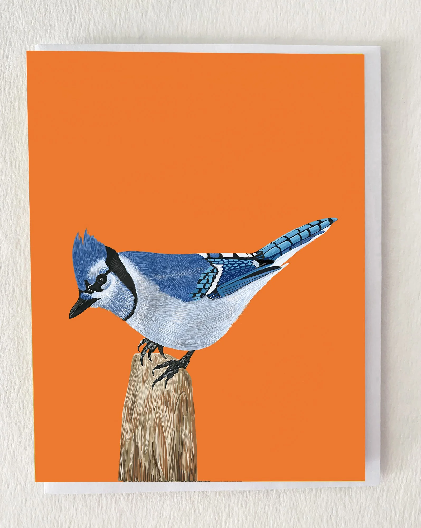 NEW ~~ Blue Jay on Tree Stump Greeting Card