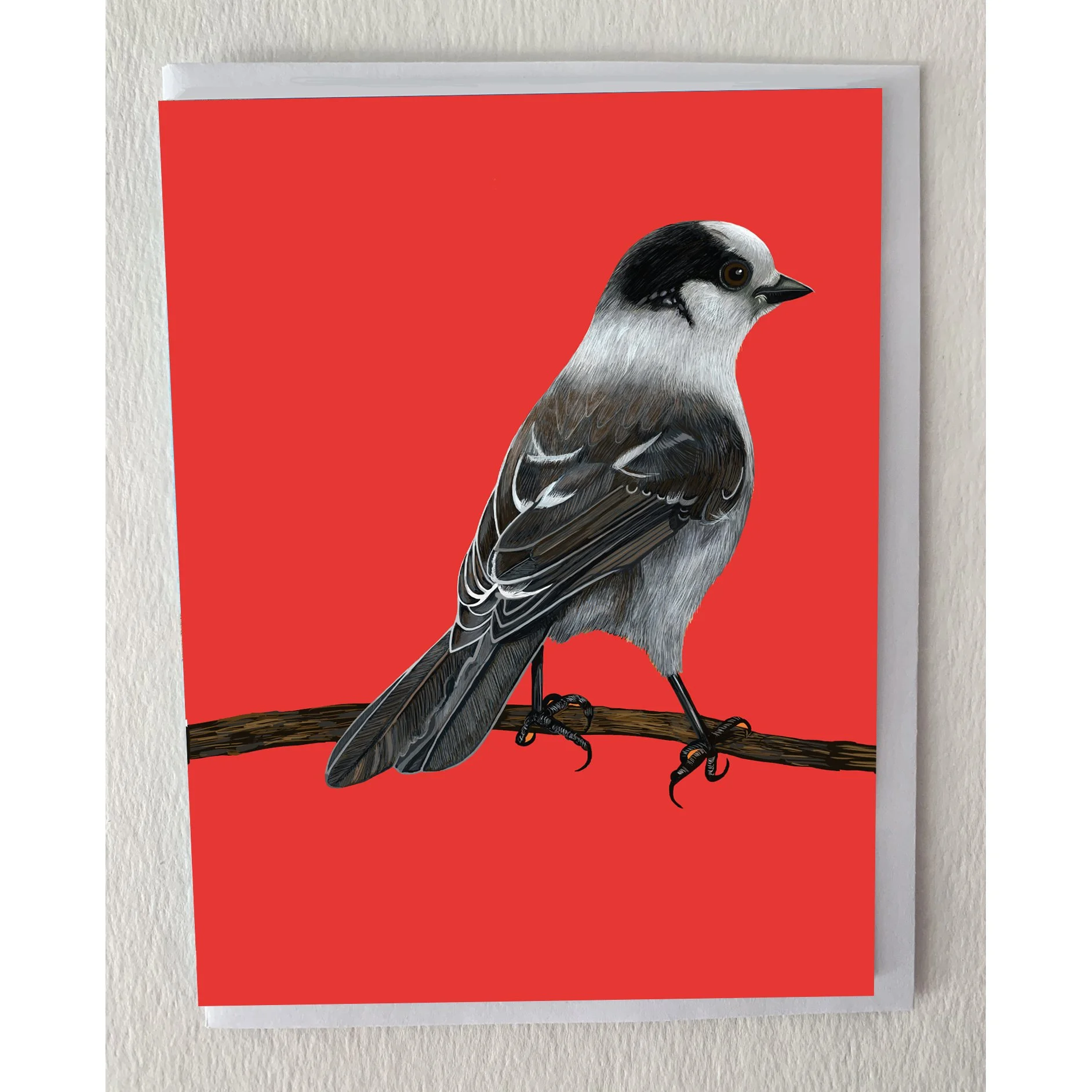 The Canada Jay Greeting Card