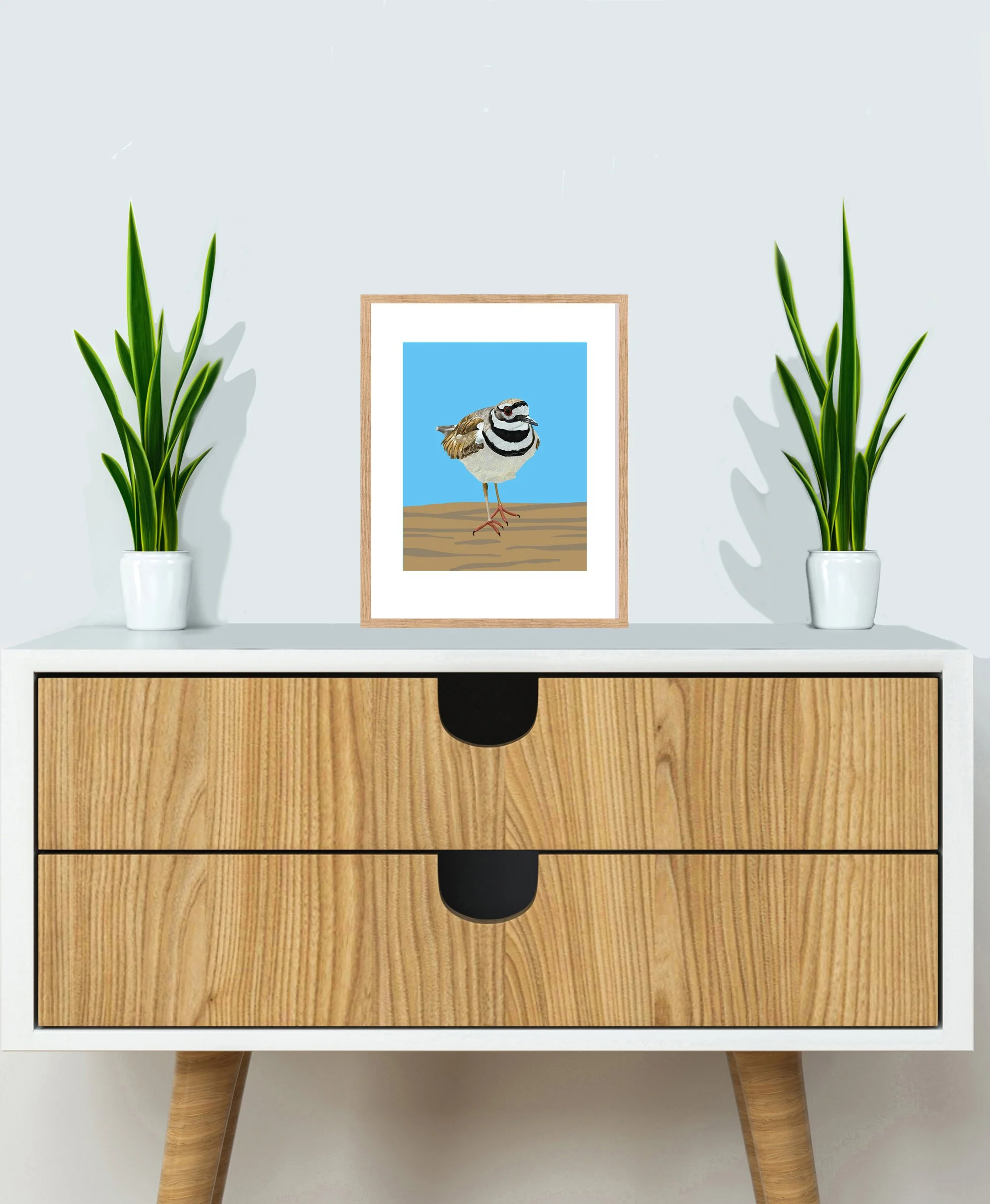 CABINETKilldeer.jpg